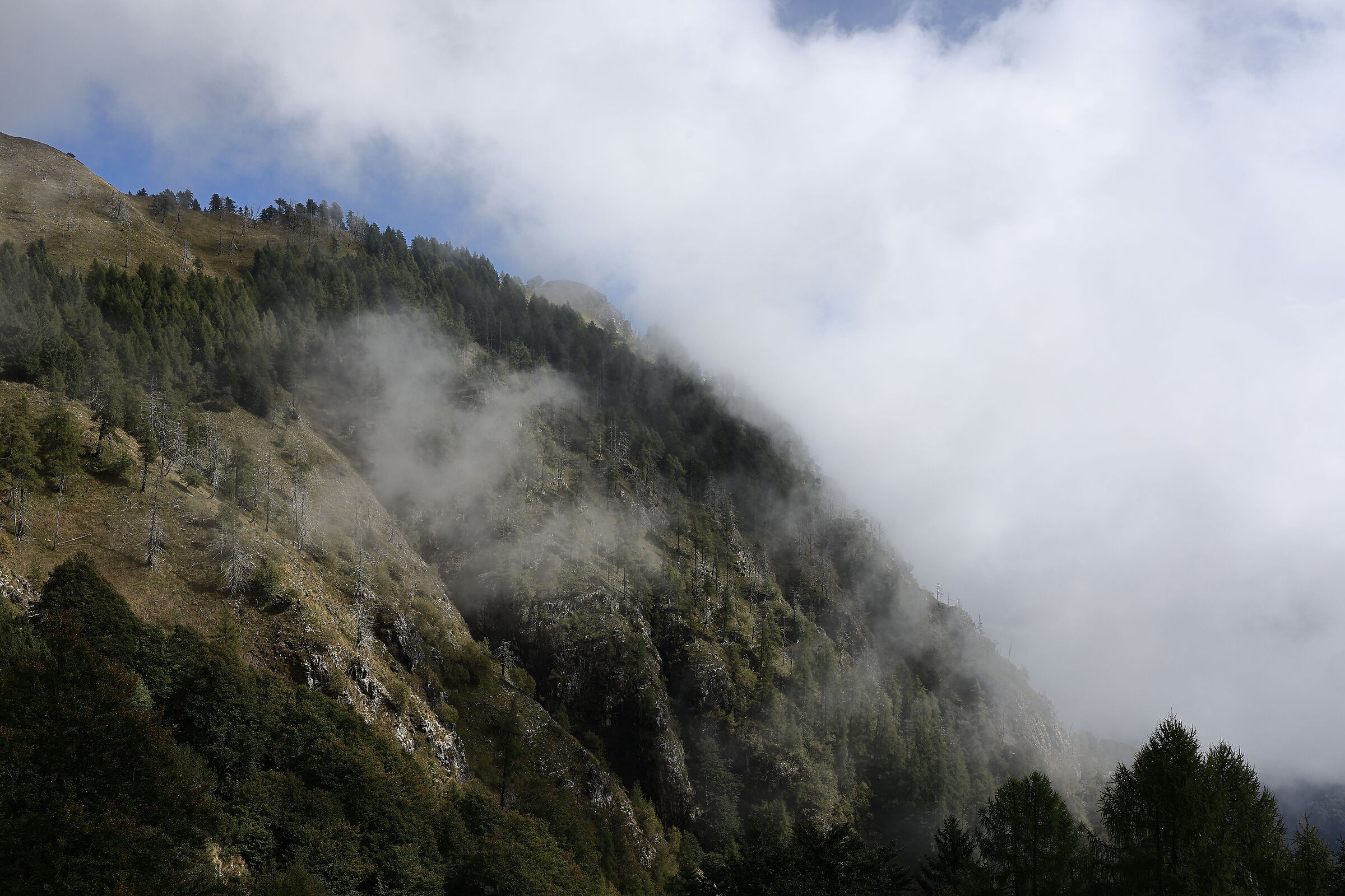 Low clouds at the Casarota Refuge