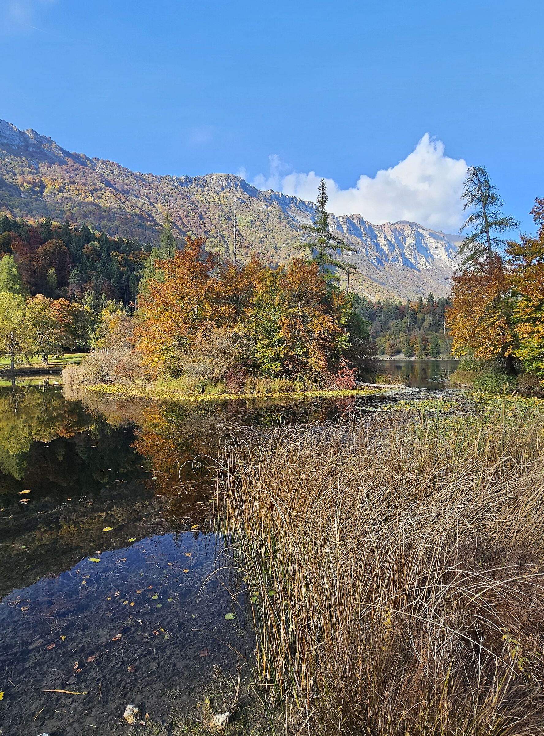 Paesaggio autunnale al lago di Cei