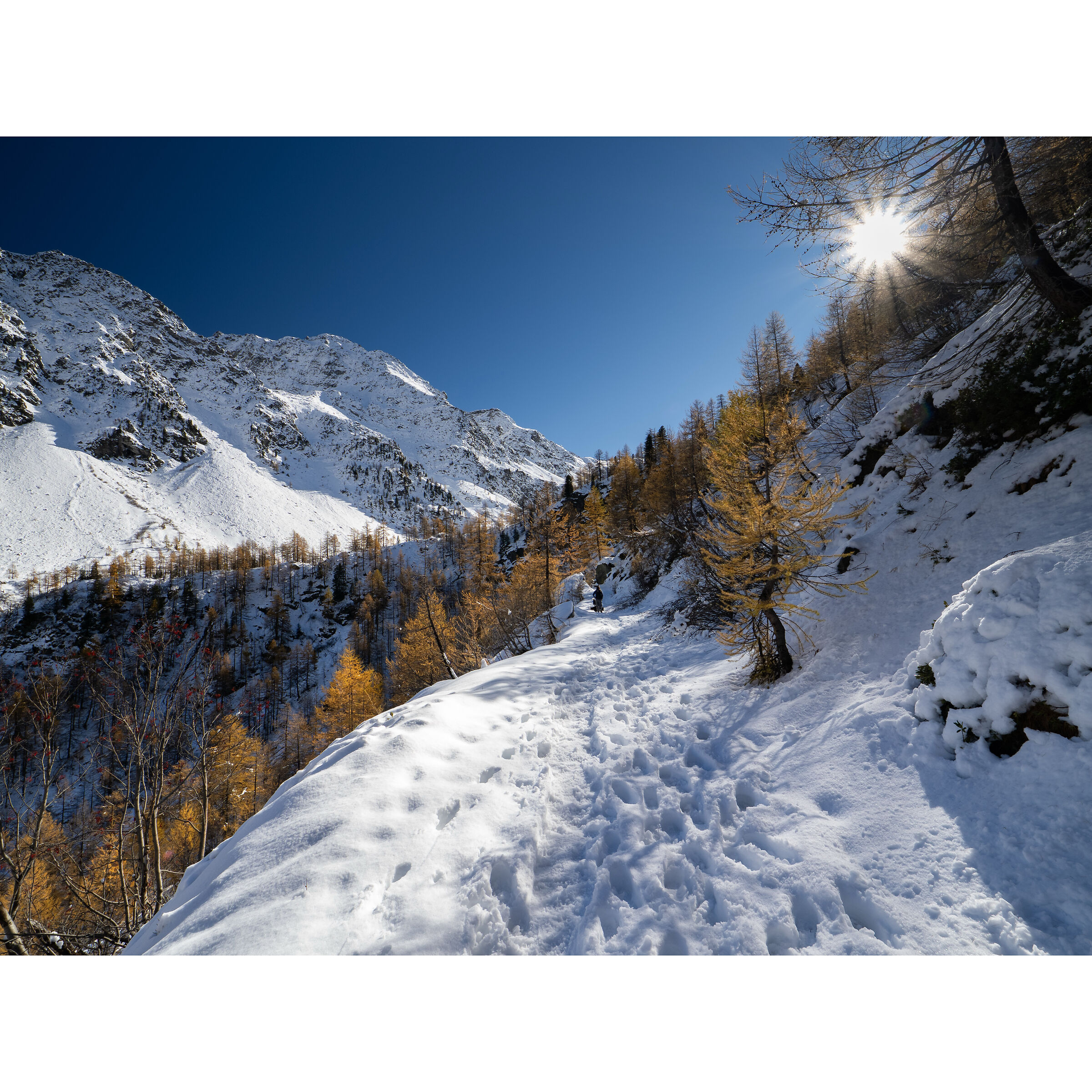 Arpy - Morgex Valle D'Aosta