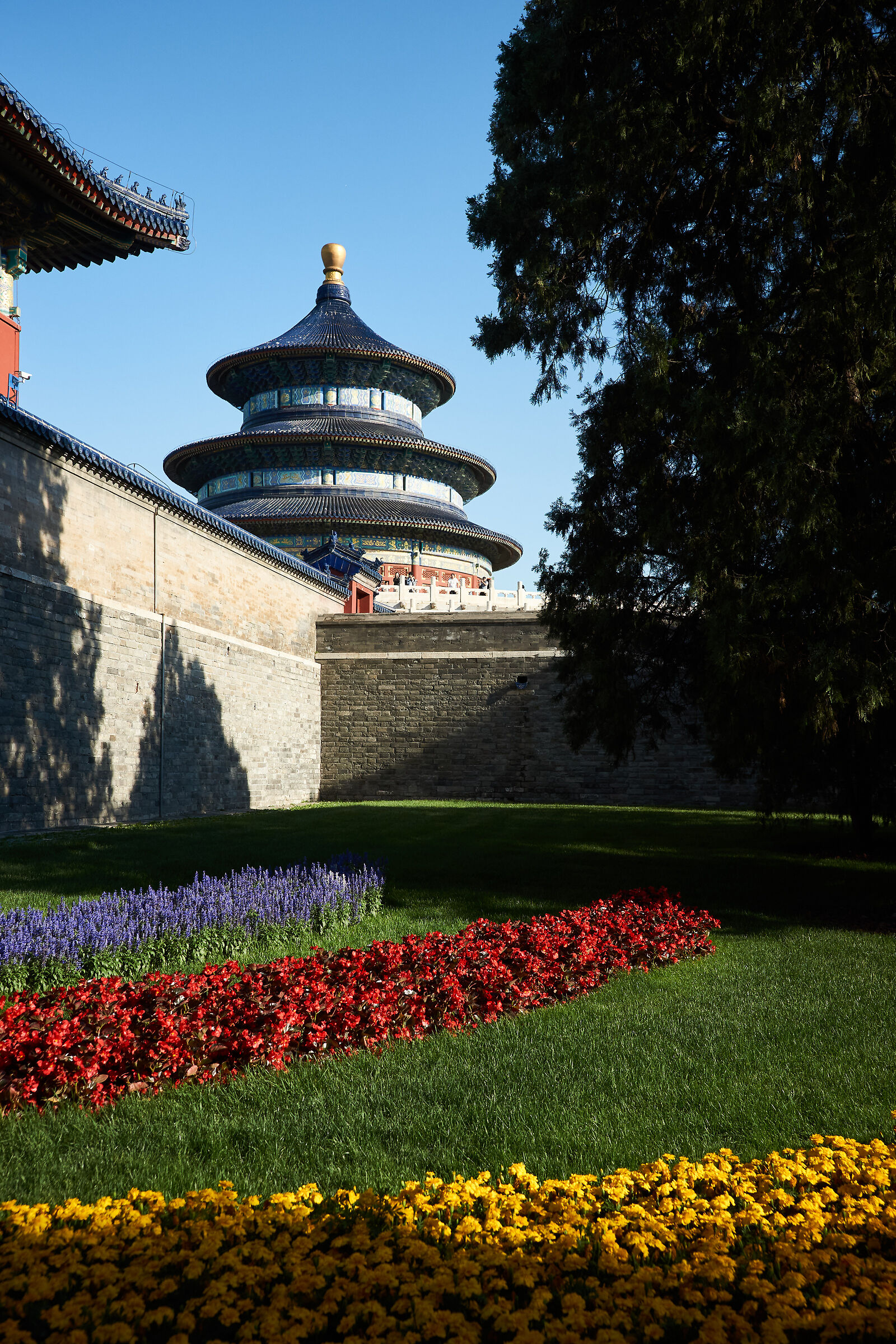 Tempio del Paradiso - Pechino