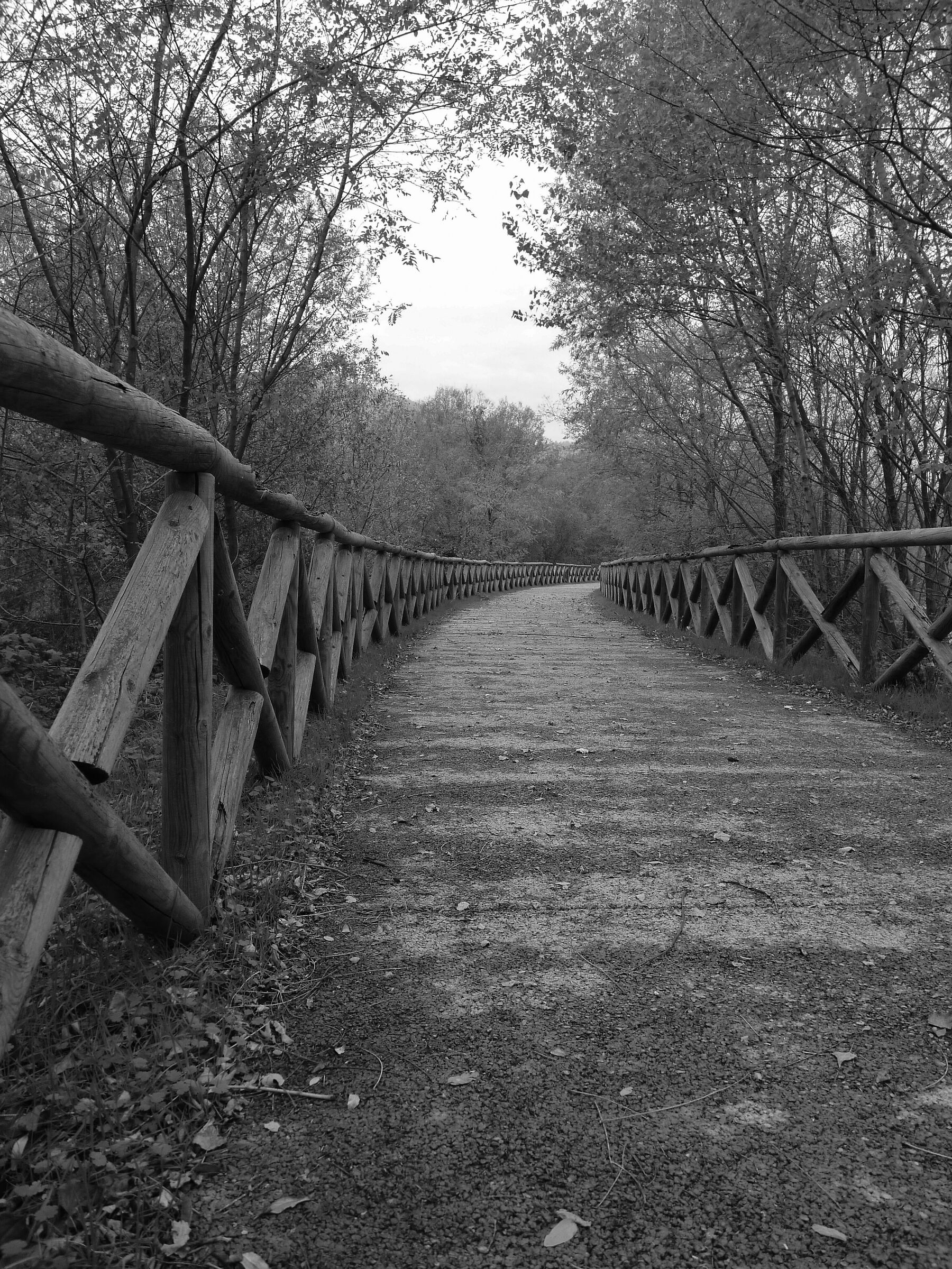 roads
