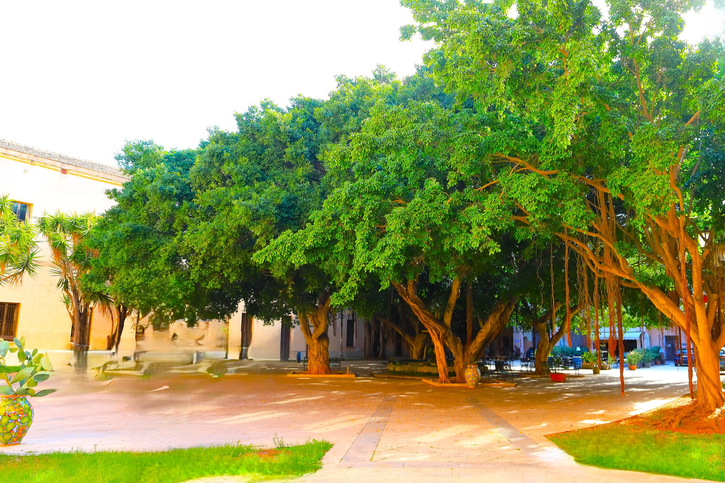 Fico beniamino 05 ottobre 2025 - 0126