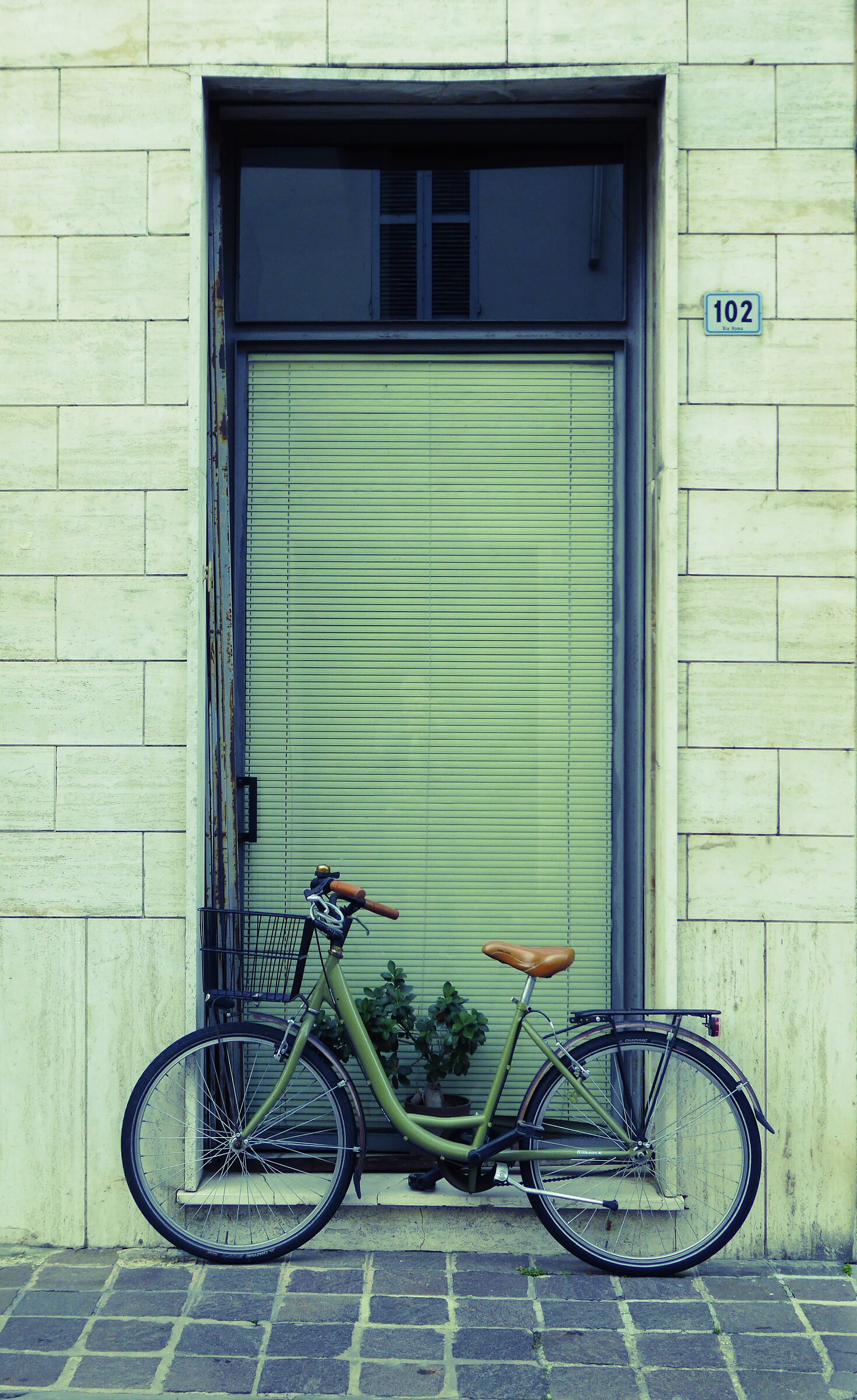 Bicycle