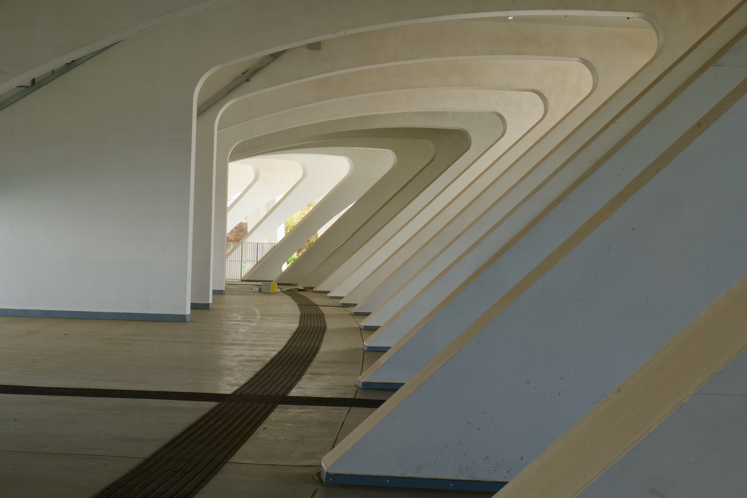 sails 6
