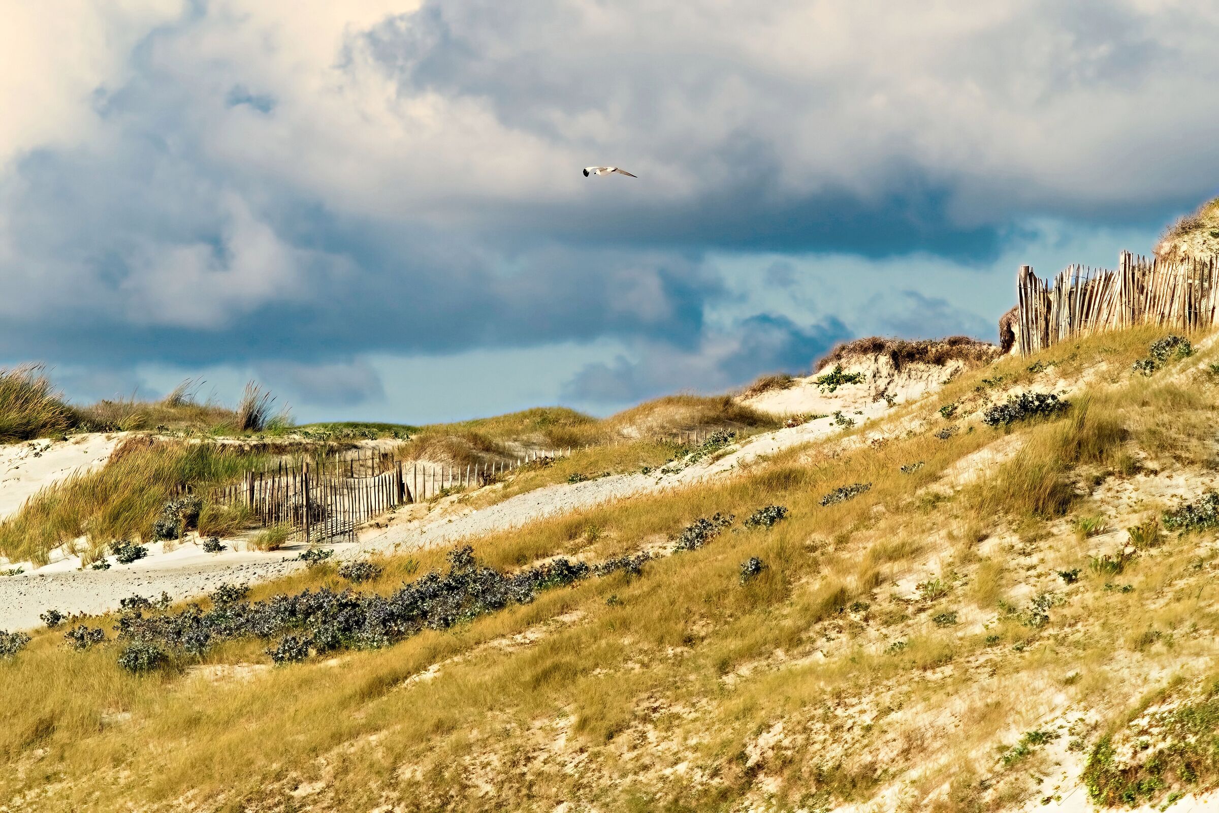 BRETAGNE PLAGE TORCHE 23-07-2025