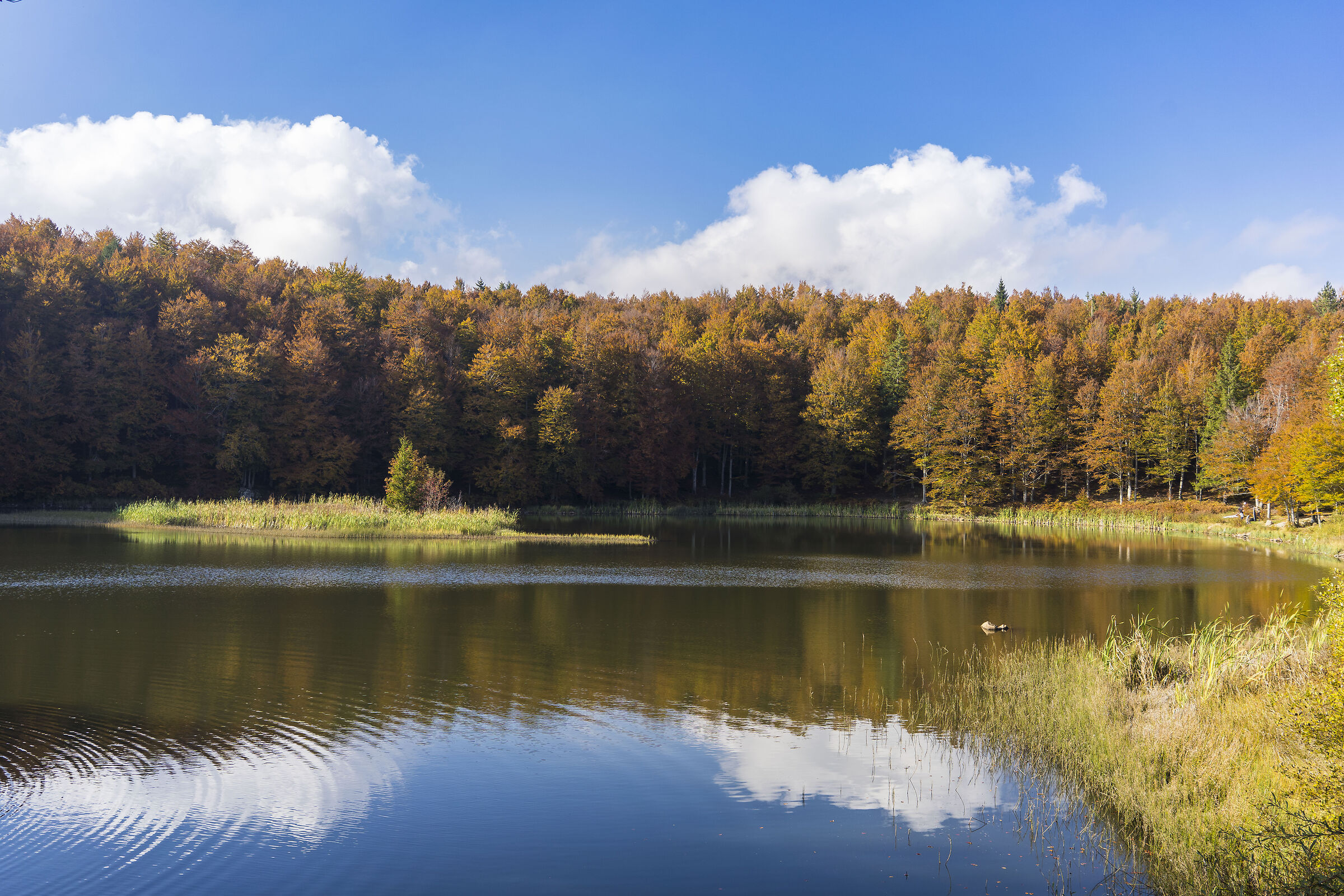 Lago Pranda