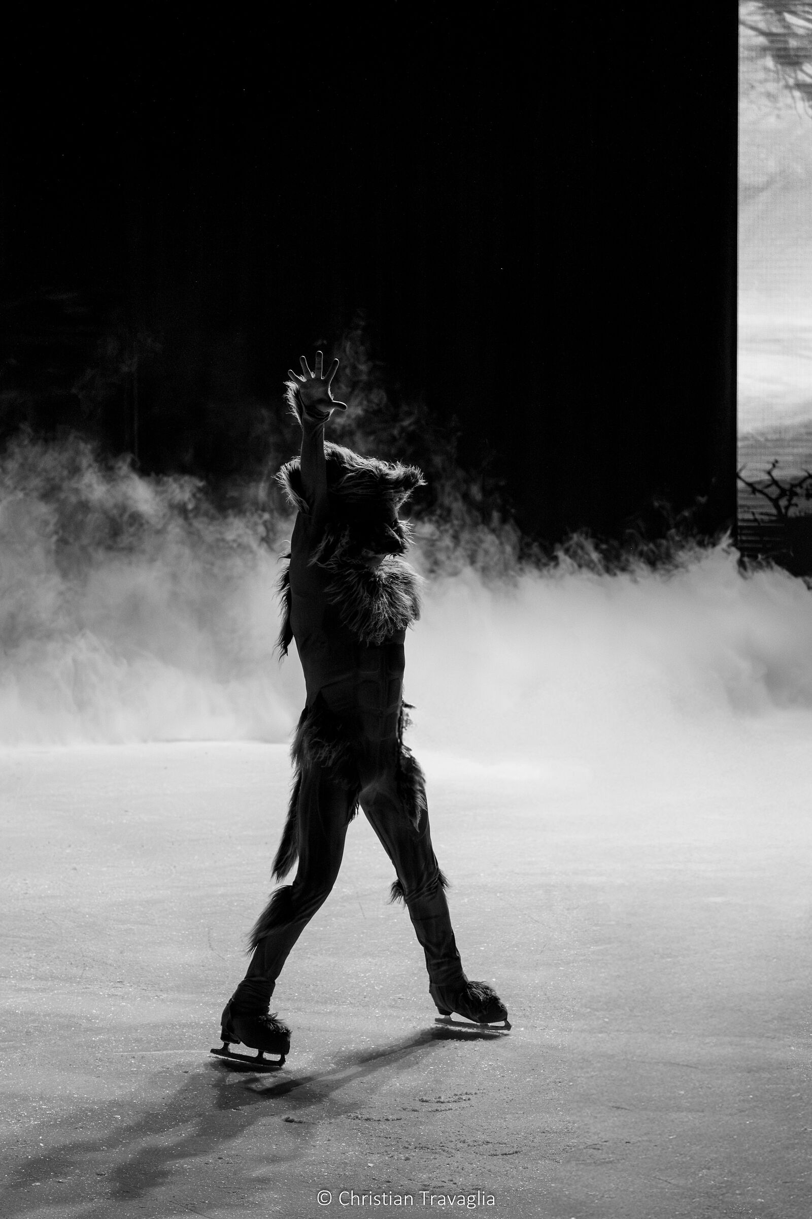 Music Show On Ice - Autunno 2025