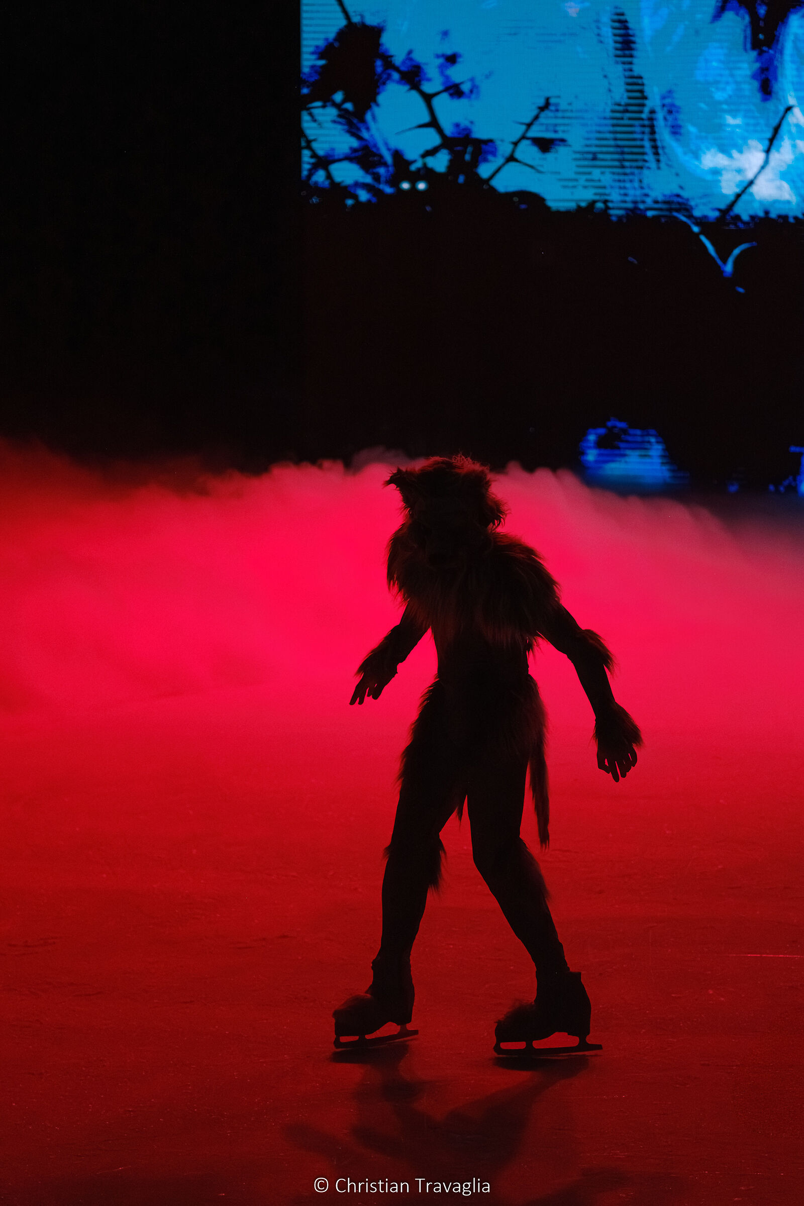 Music Show On Ice - Autunno 2025