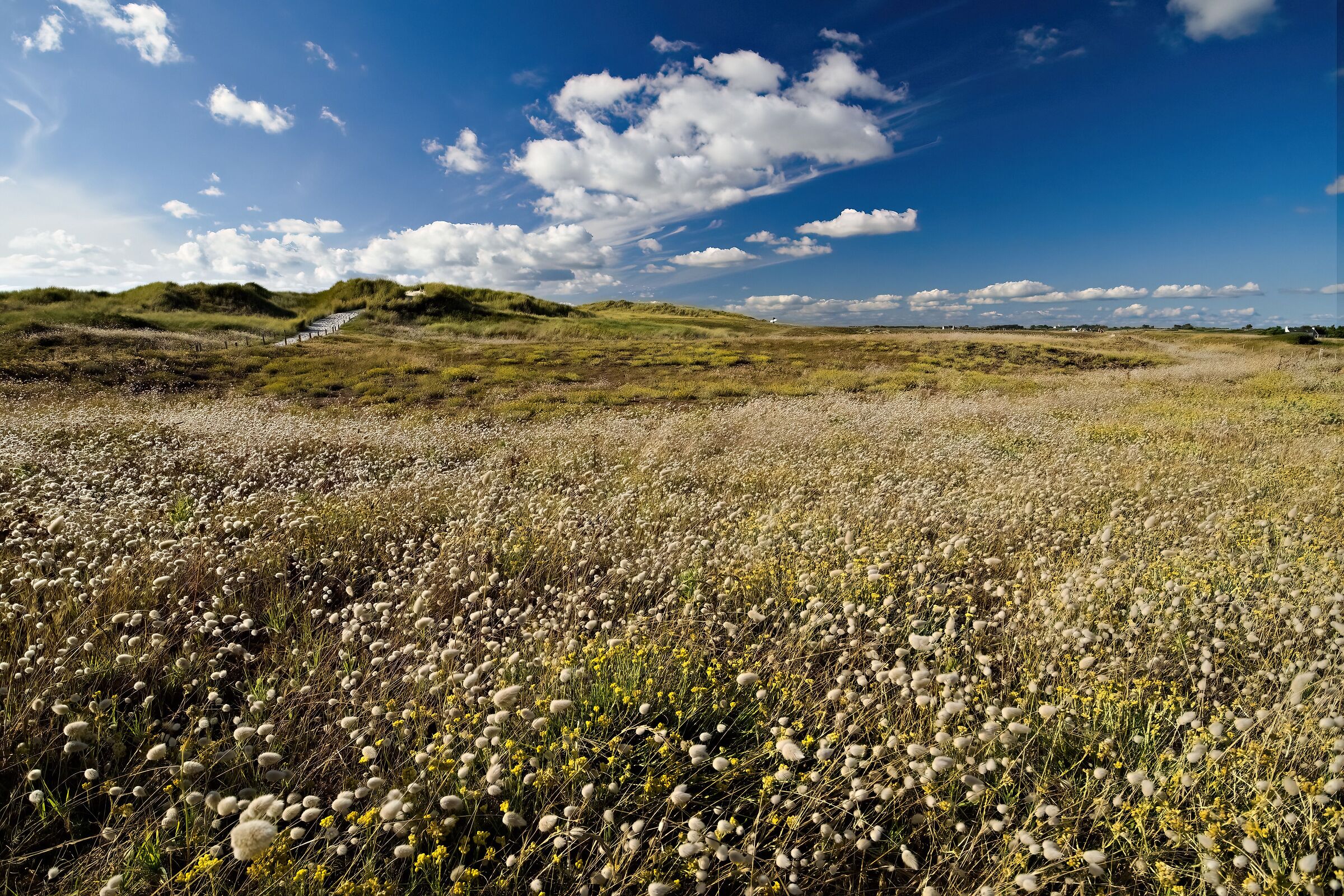 BRETAGNE PLAGE TORCHE 23-07-2025