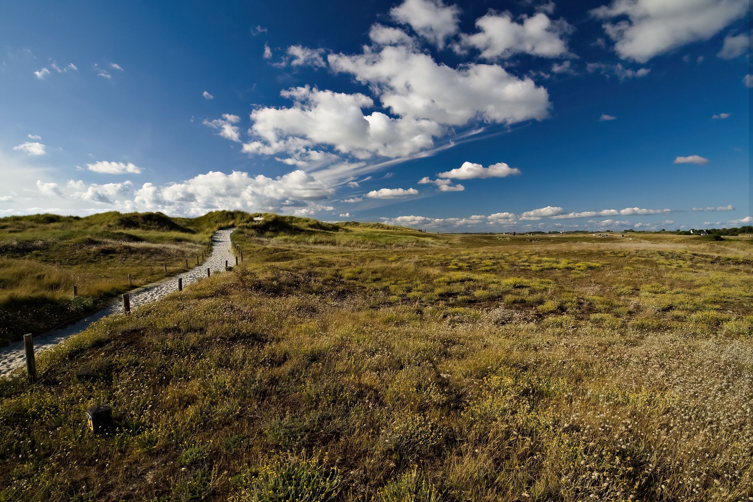 BRETAGNE - PLAGE DE LA TORCHE - 23-07-2025