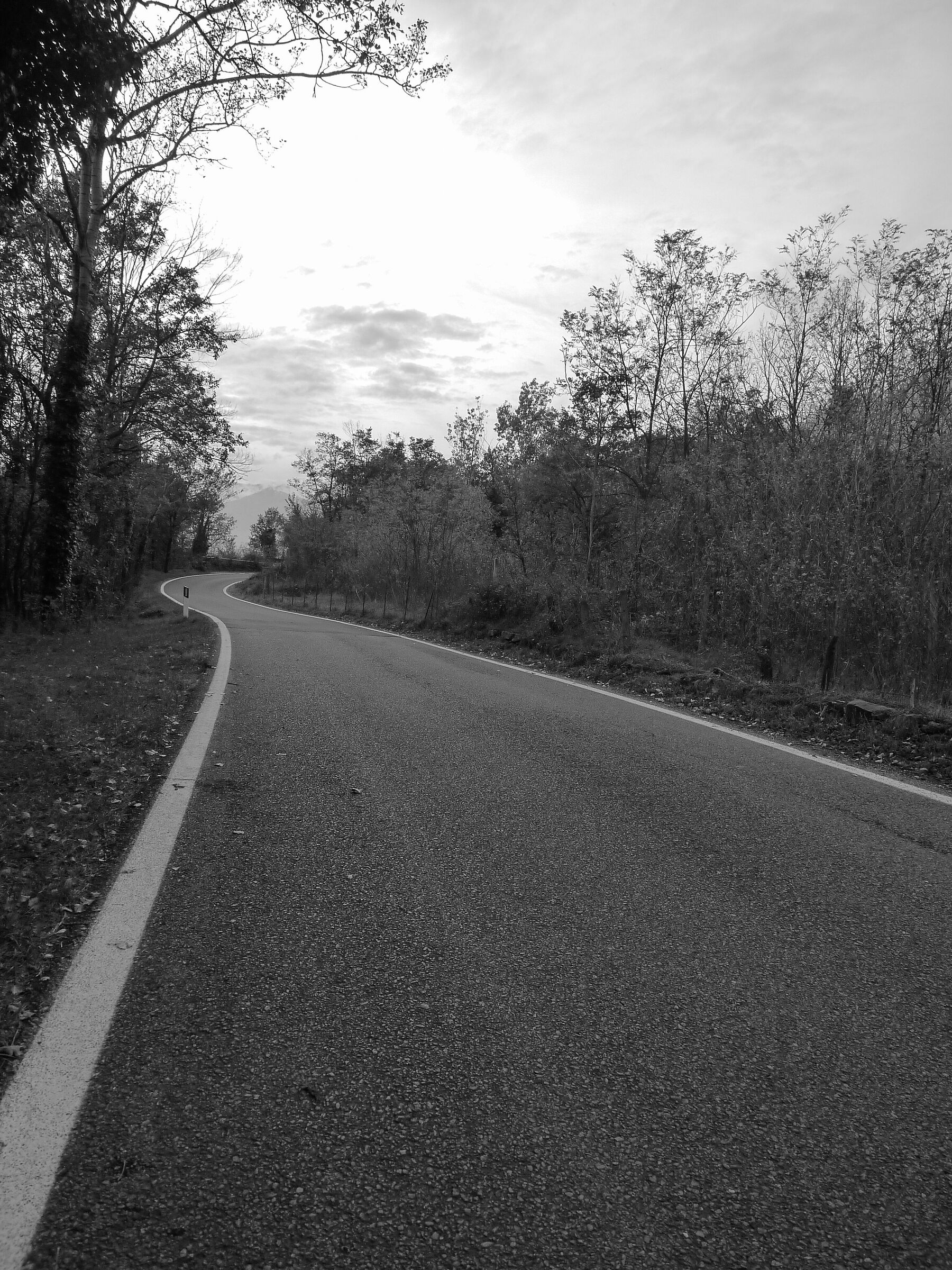 roads