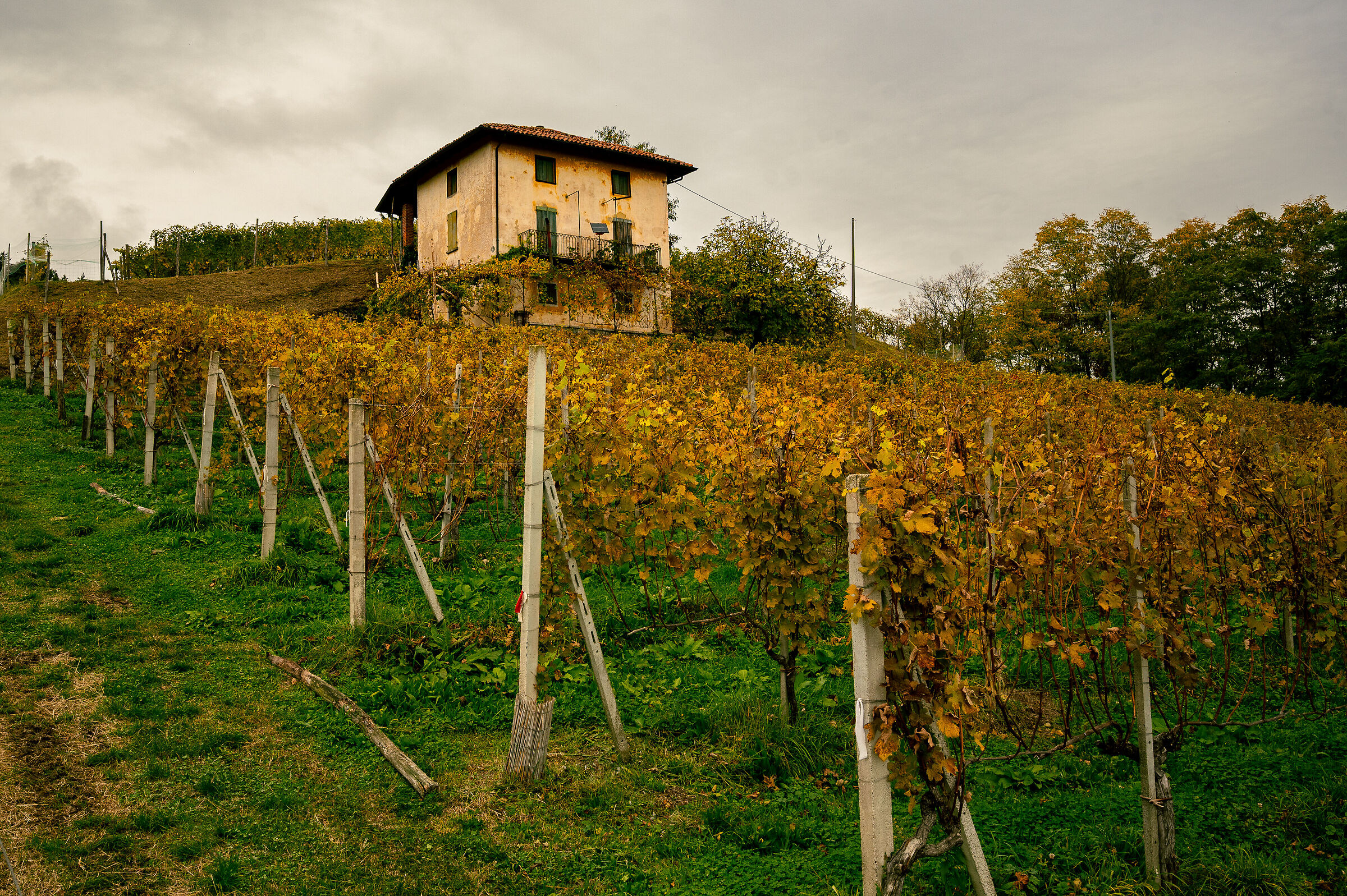 Farms and foliage