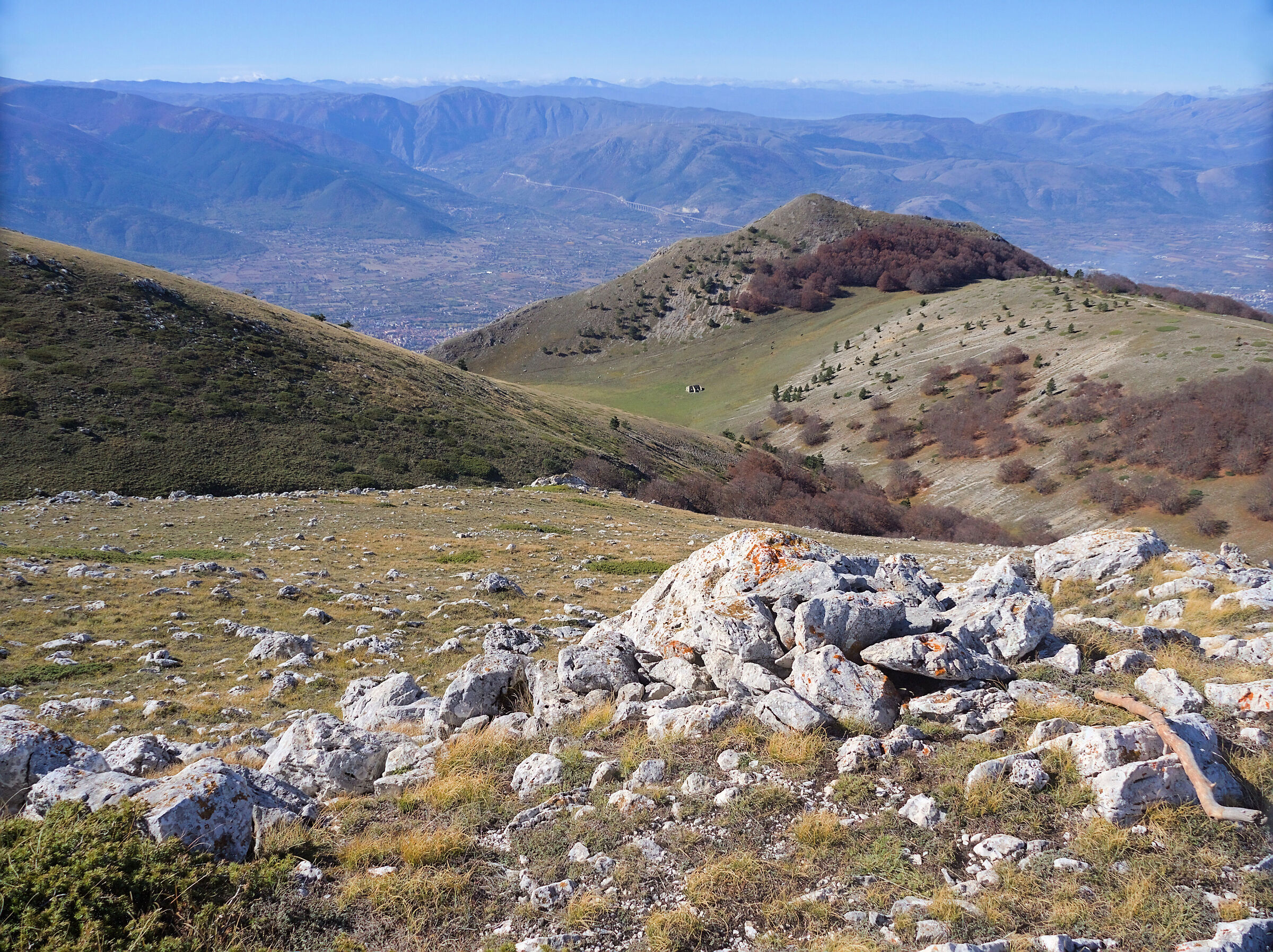 Untitled Photo