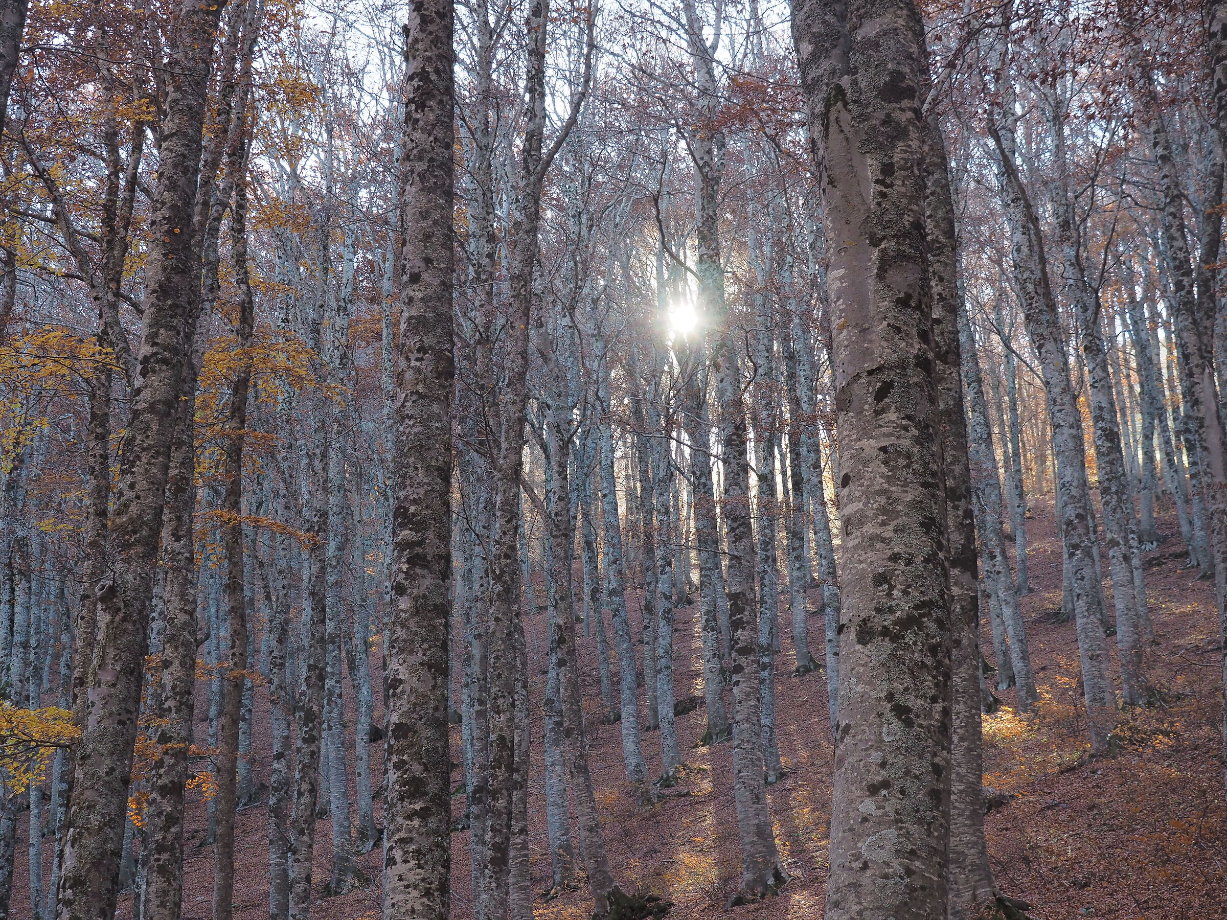 Untitled Photo