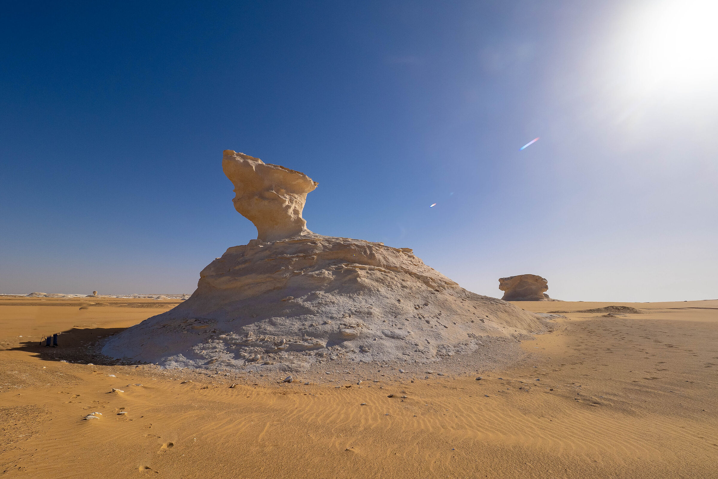 funghi intergalattici