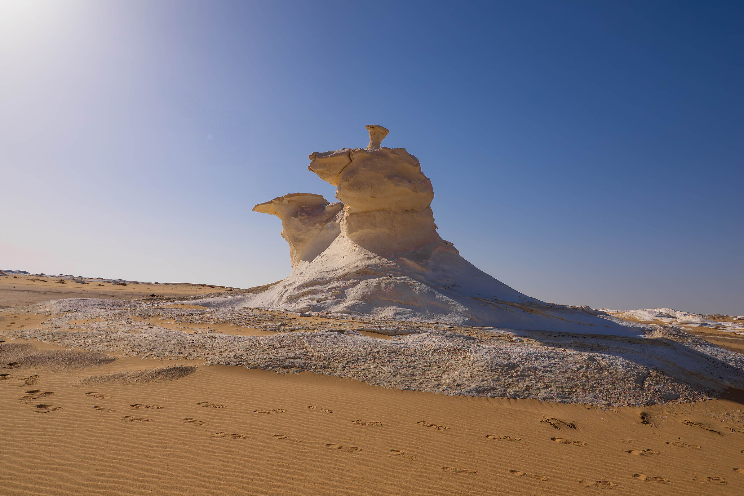 forme di vita aliena