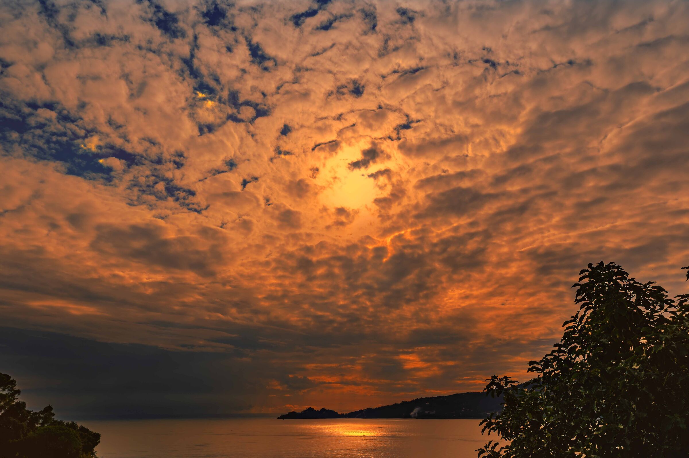 Red in the evening..............