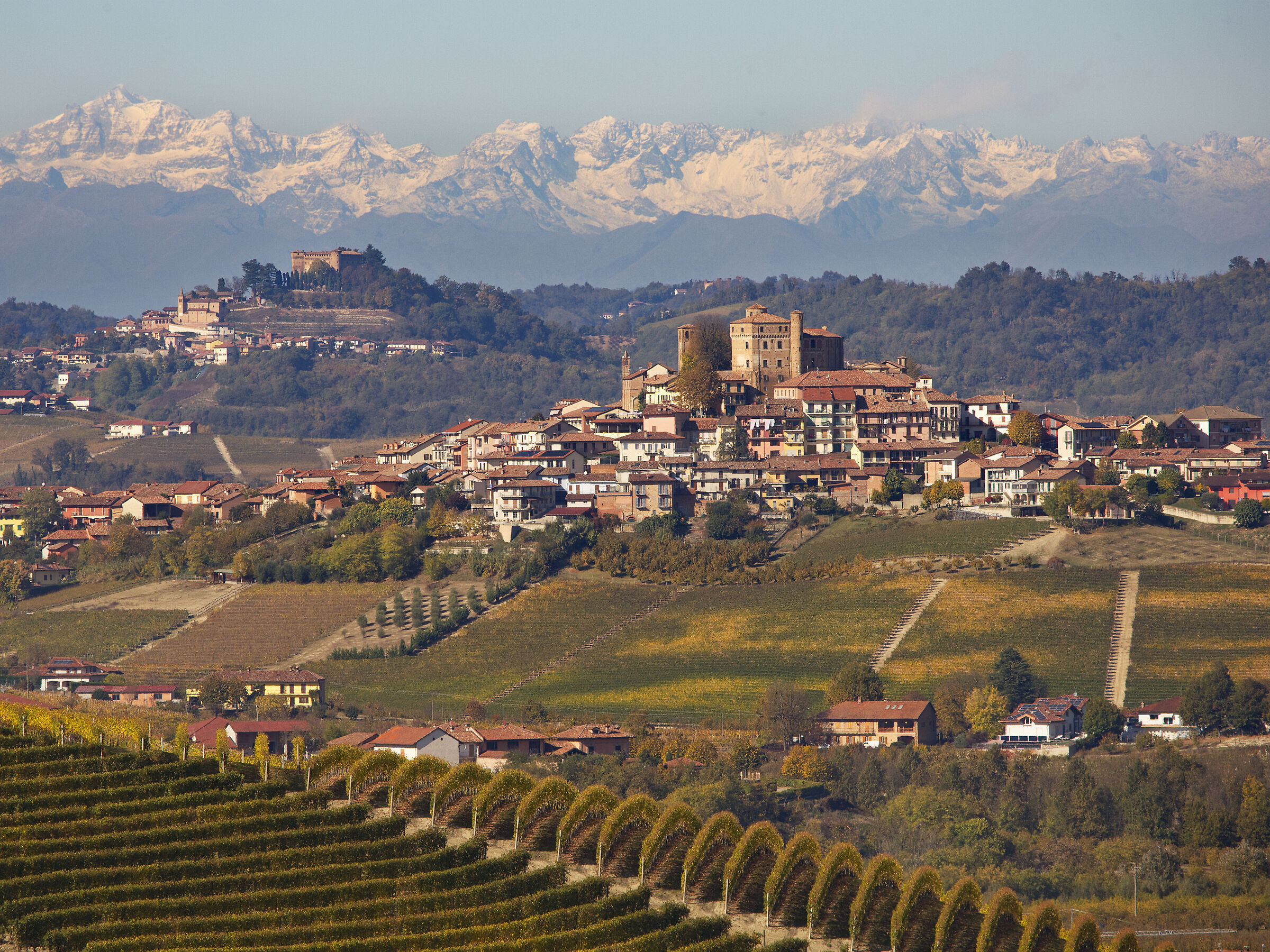 Dalle onde delle vigne alle vette delle Alpi