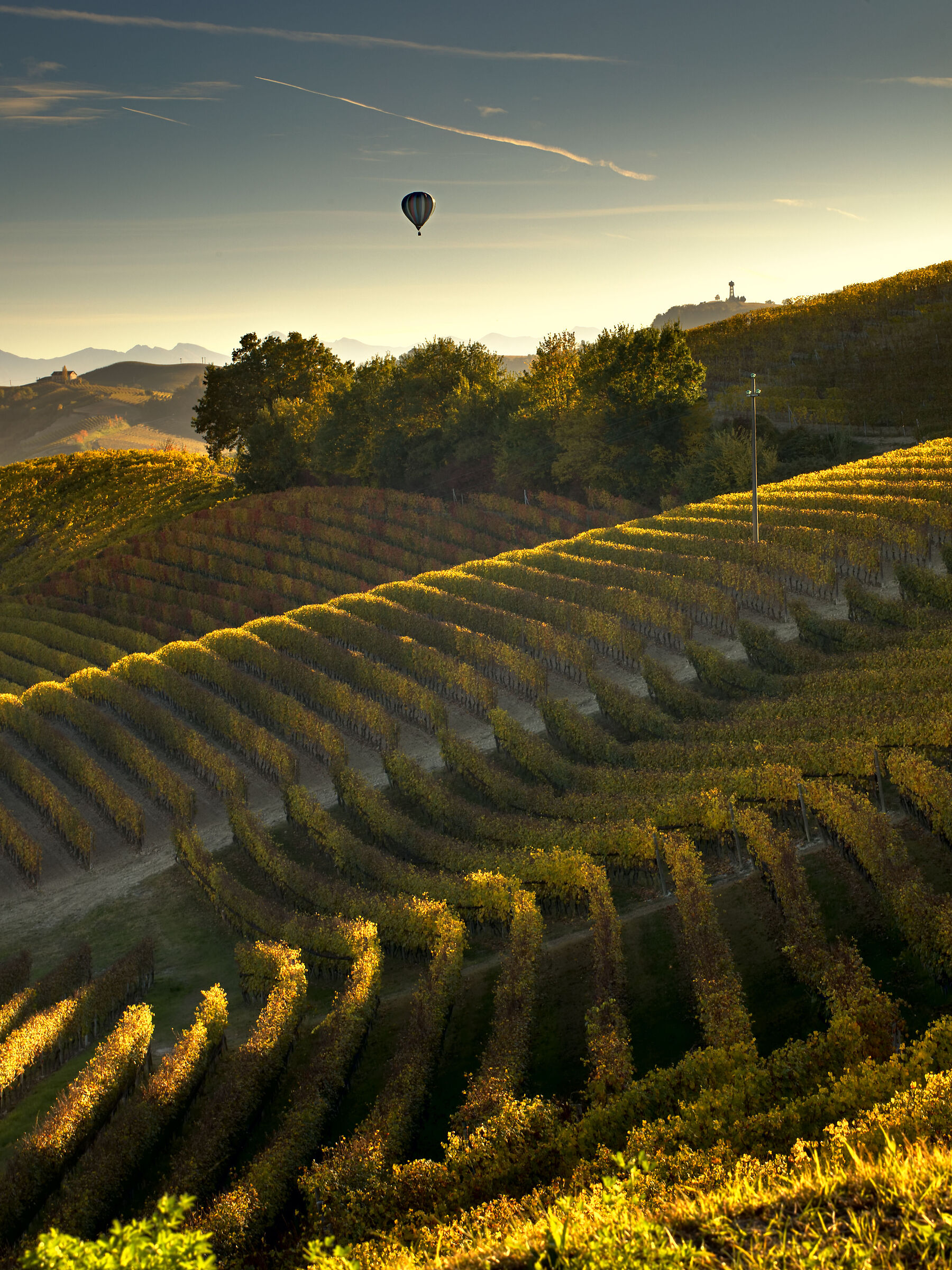 Crepuscolo sui vigneti