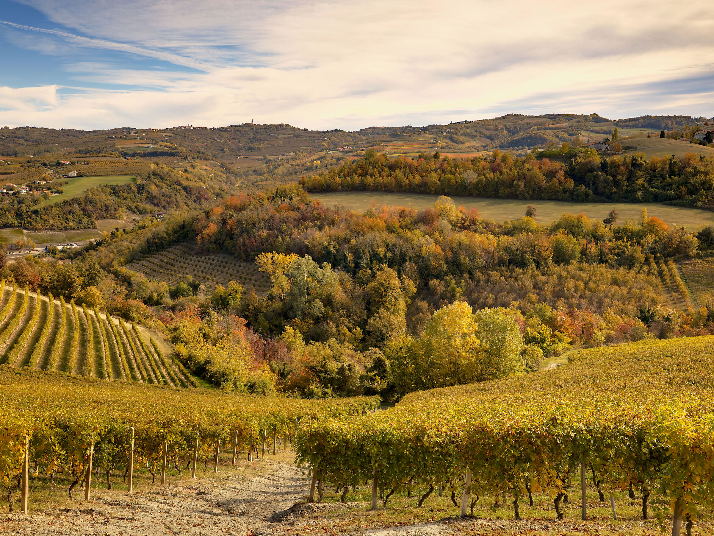 Foliage nelle Langhe