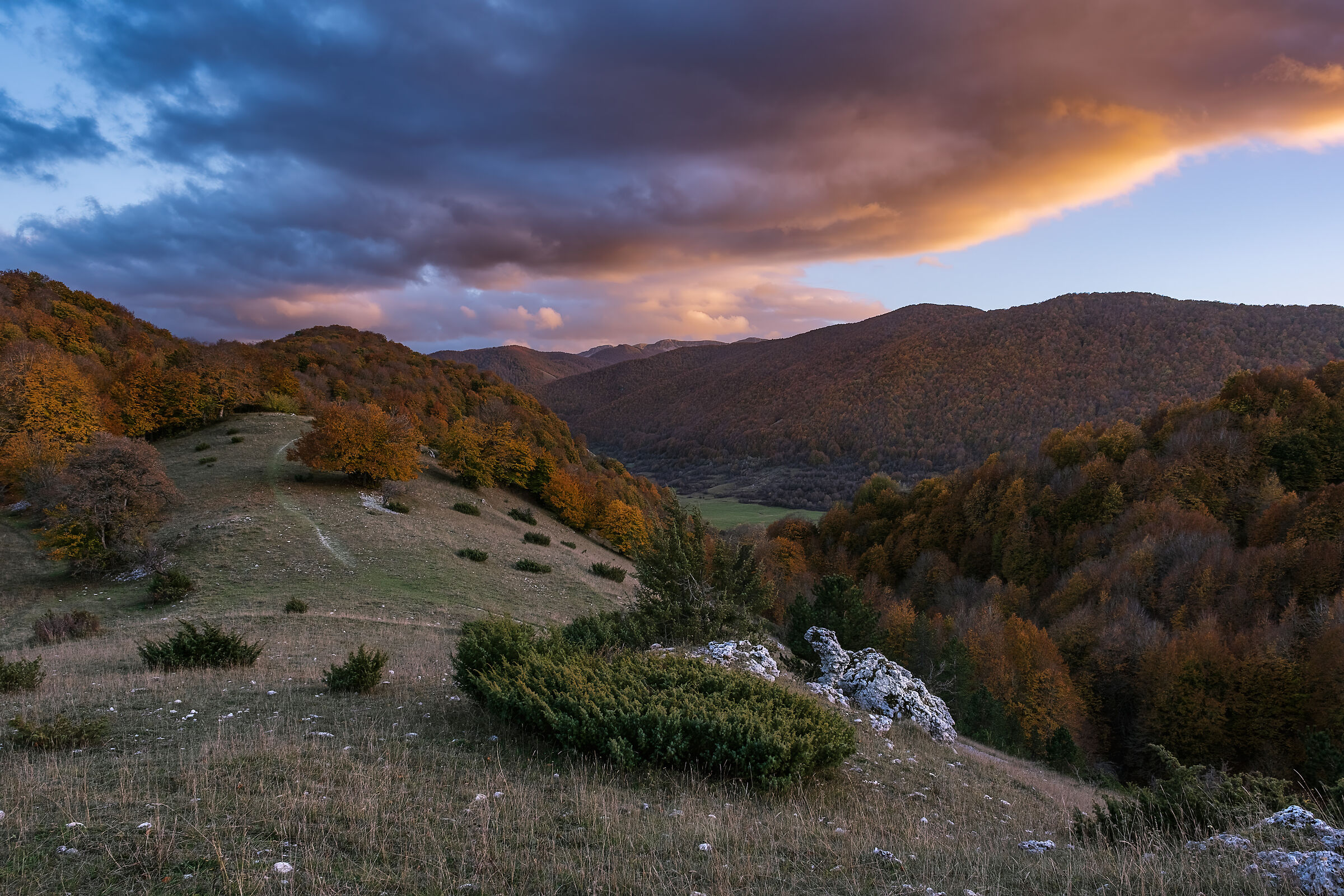 Untitled Photo