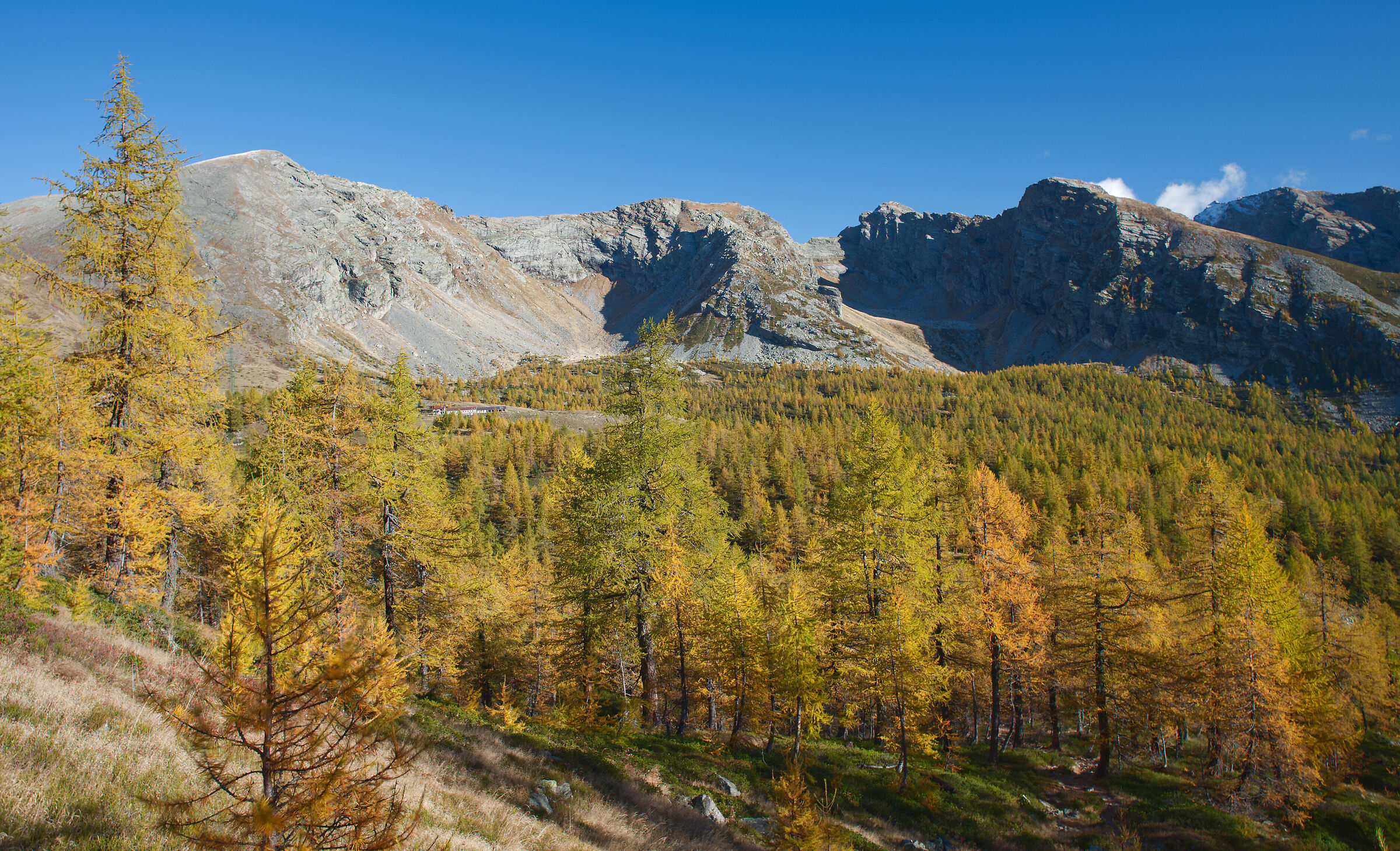 Alta Val Bognanco - the colours of autumn