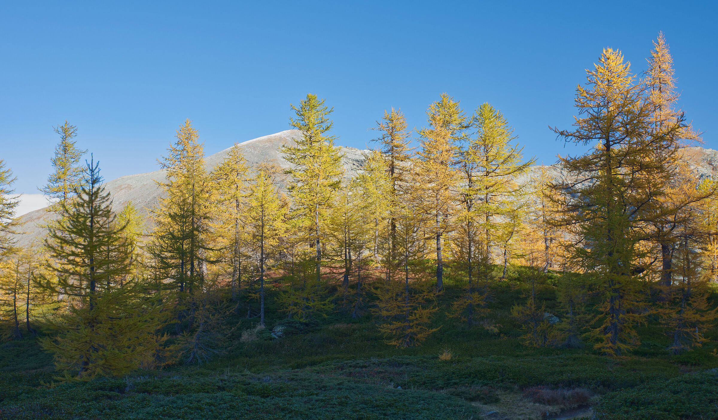 Alta Val Bognanco - the colours of autumn
