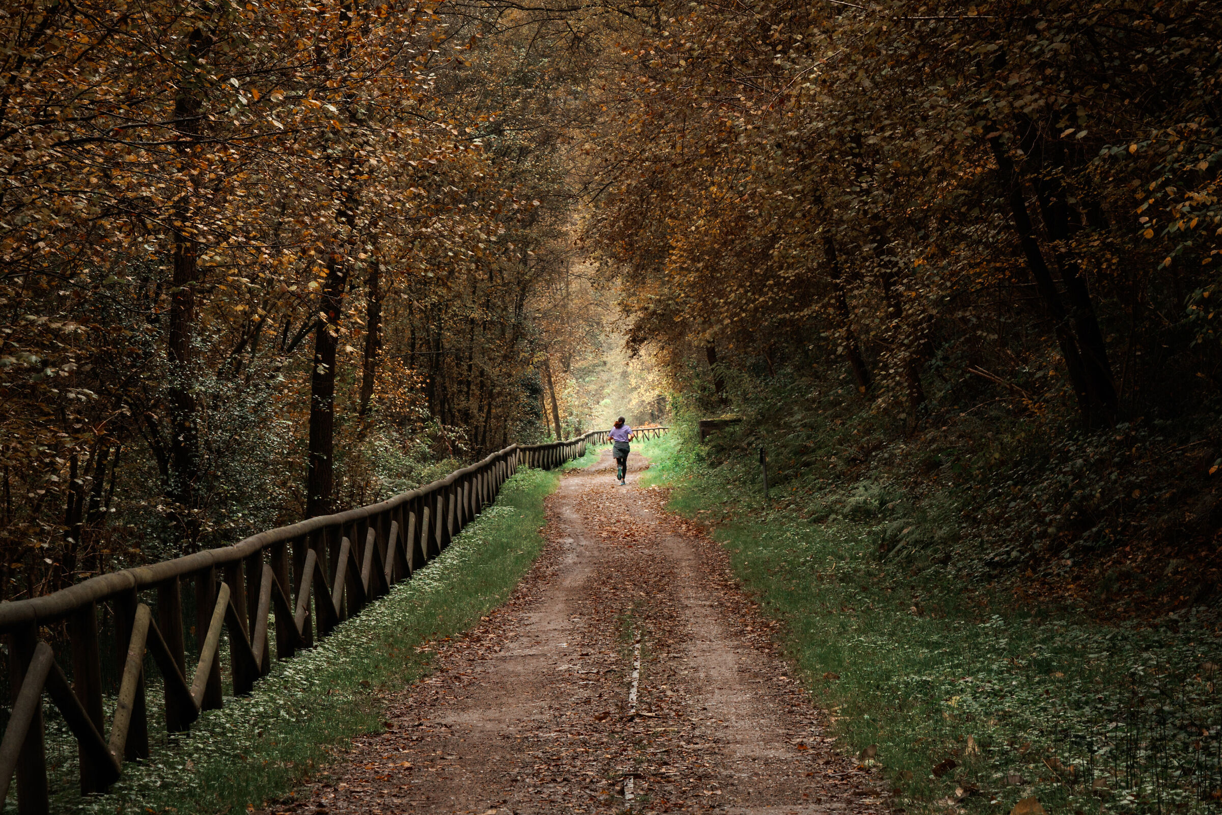 A passeggio nel parco RTO