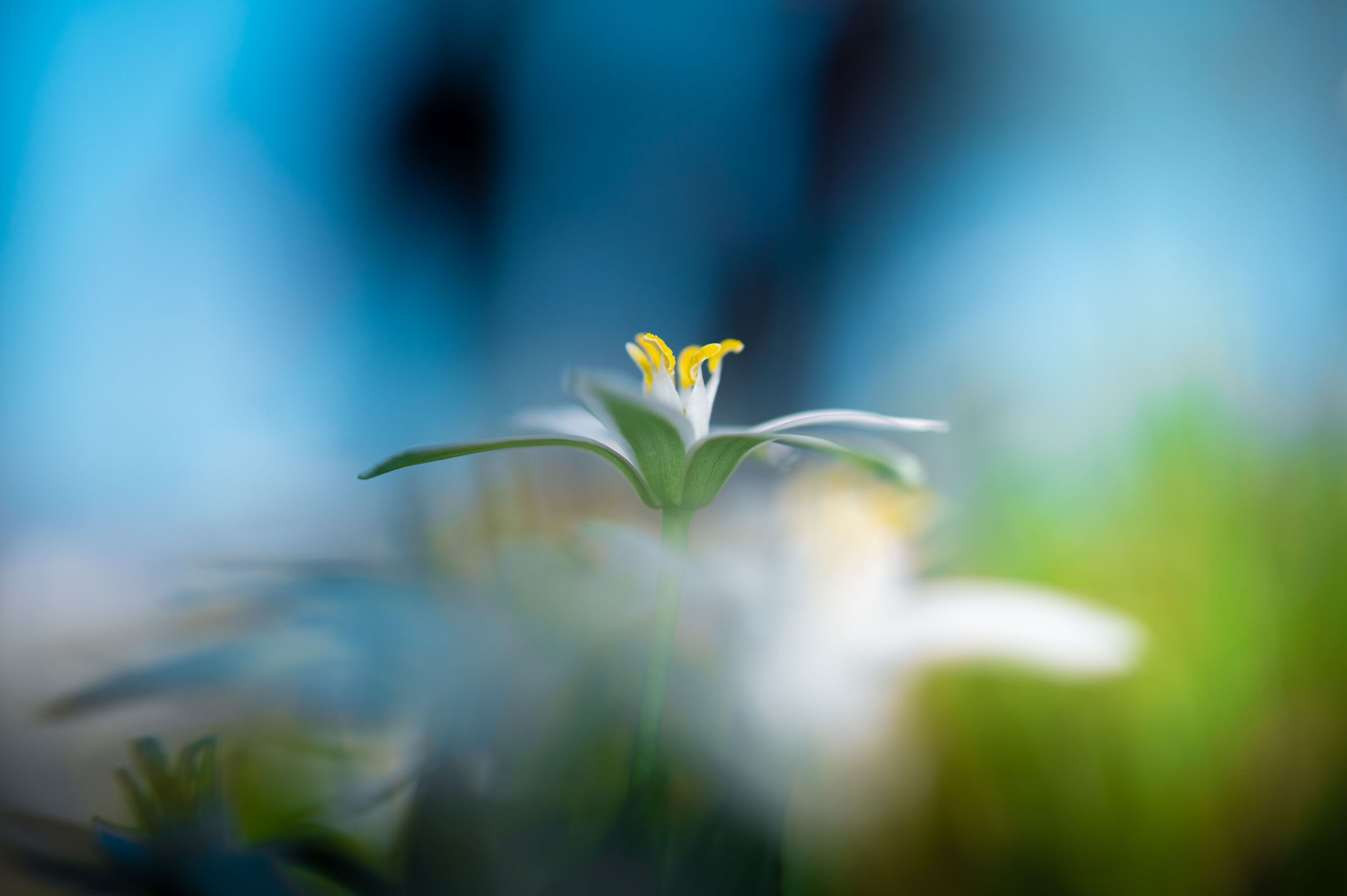 On an April afternoon