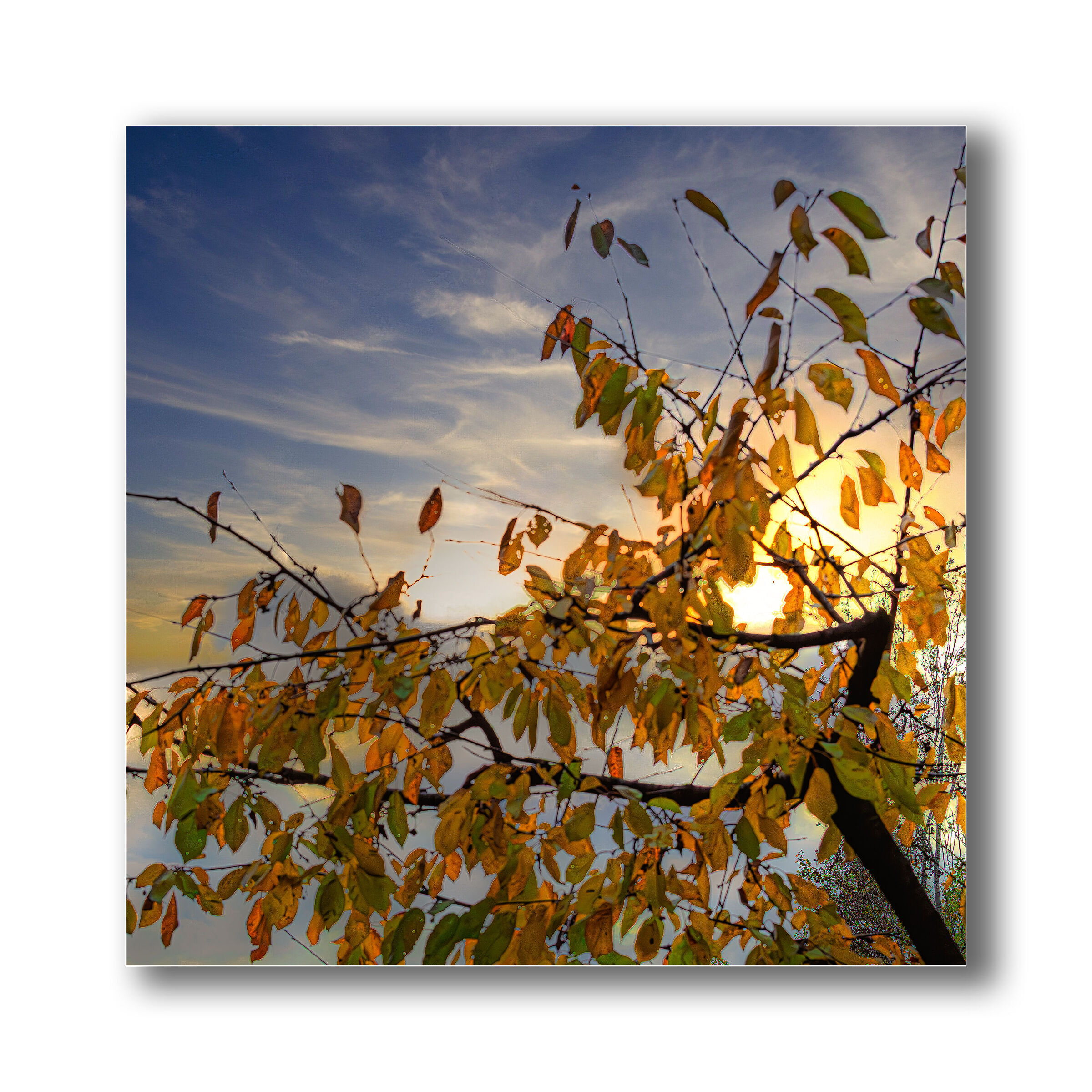 Autumn