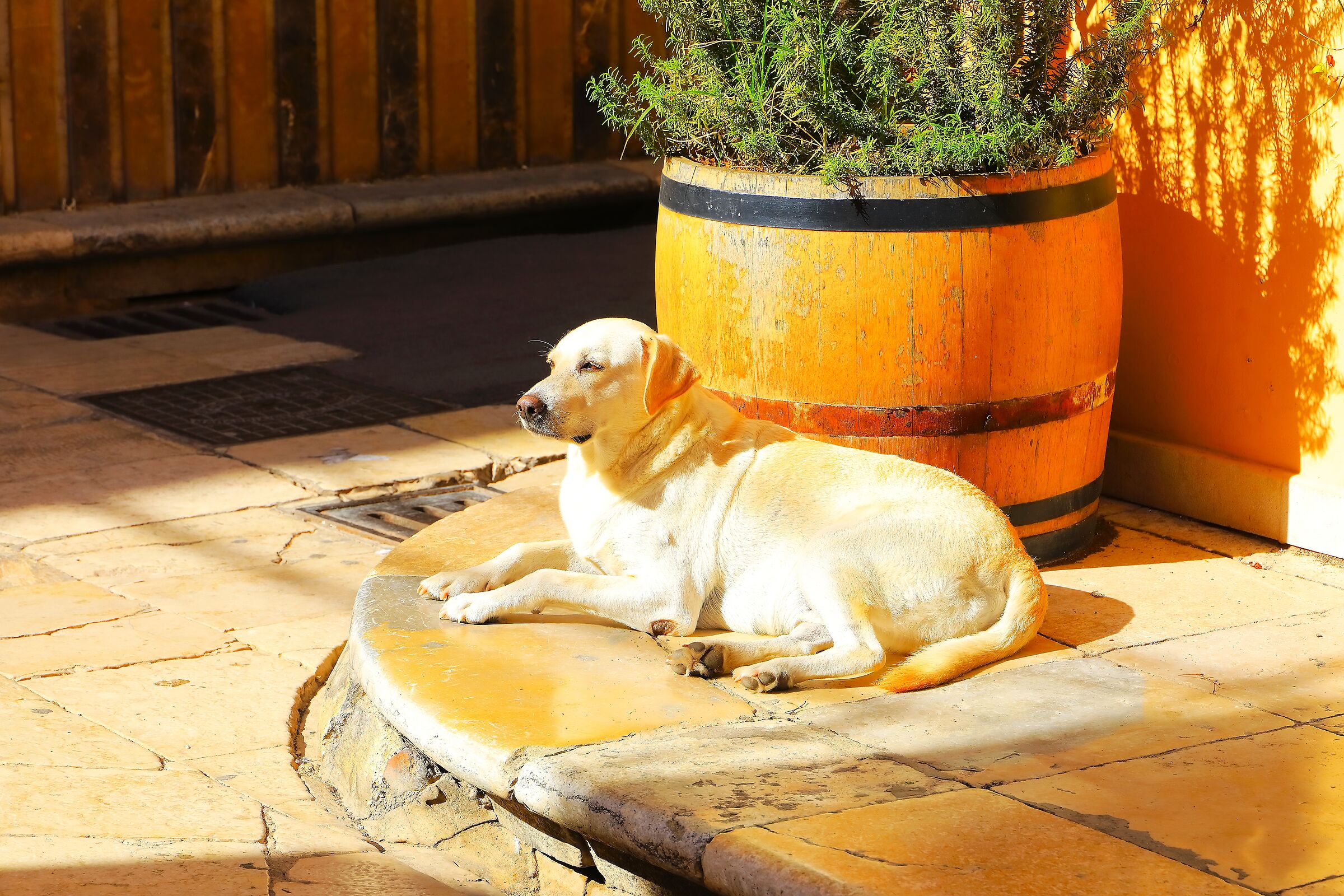 Riposino 05 ottobre 2025 - 0134