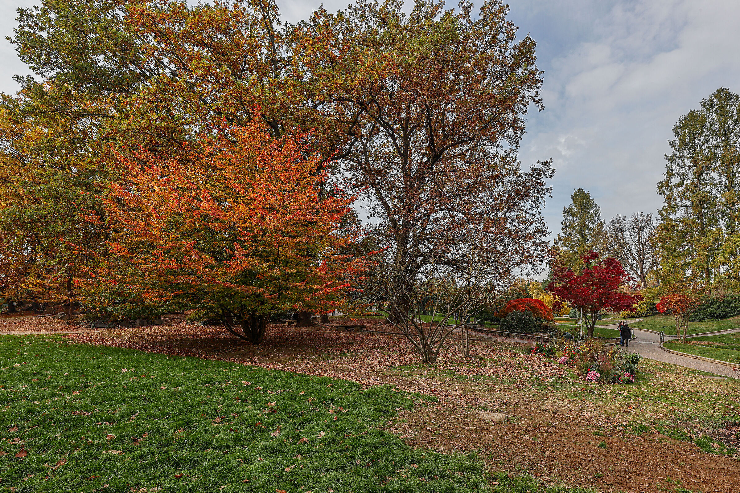 Autumn at the Valentino park