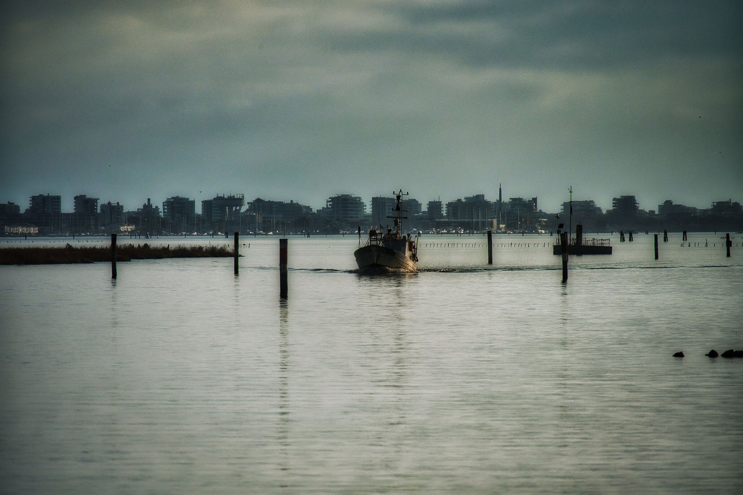 Untitled Photo