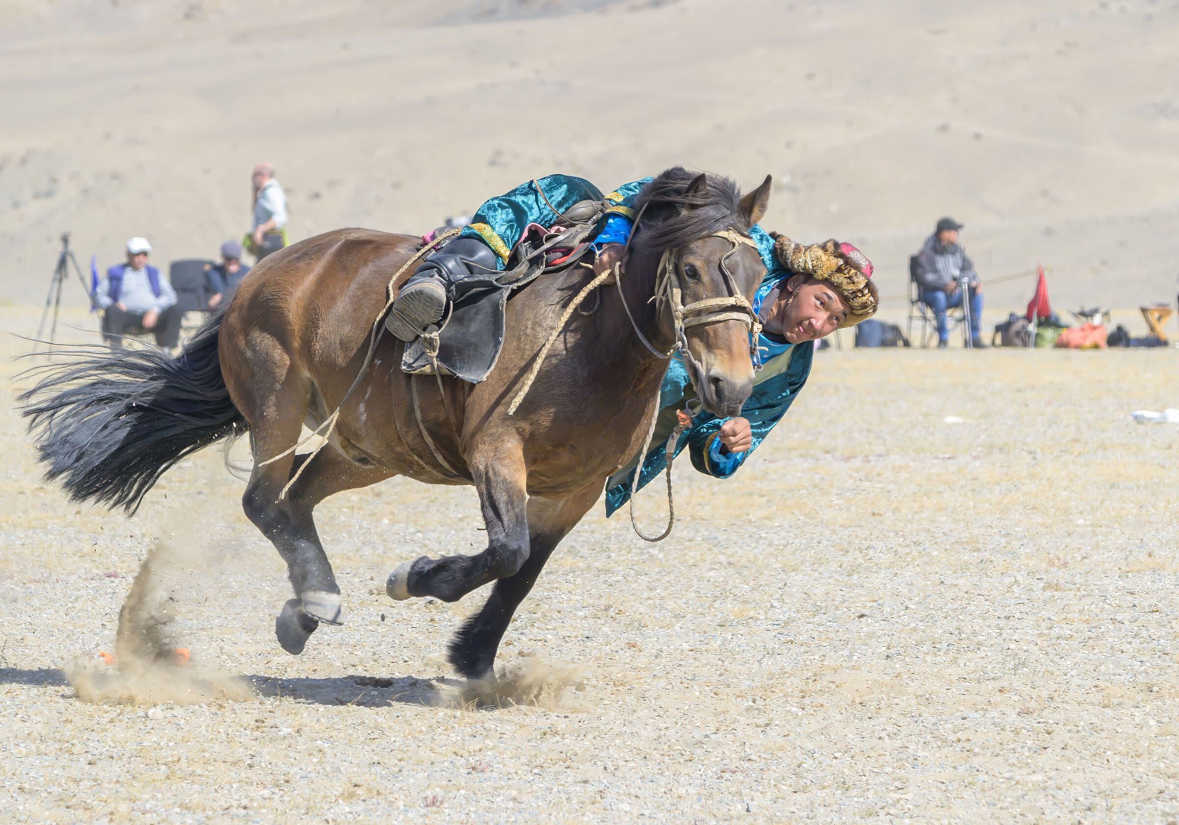 Sagsai eagles festival