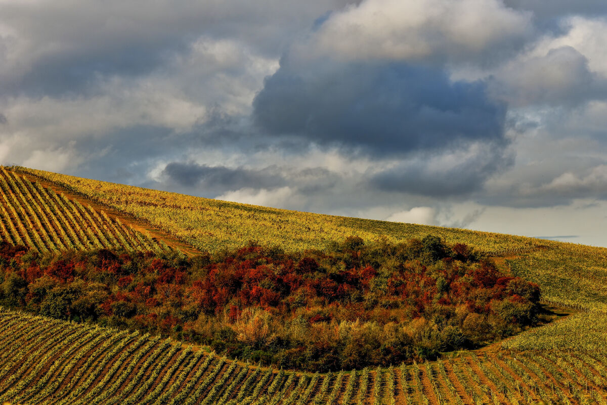 Autumn colors.