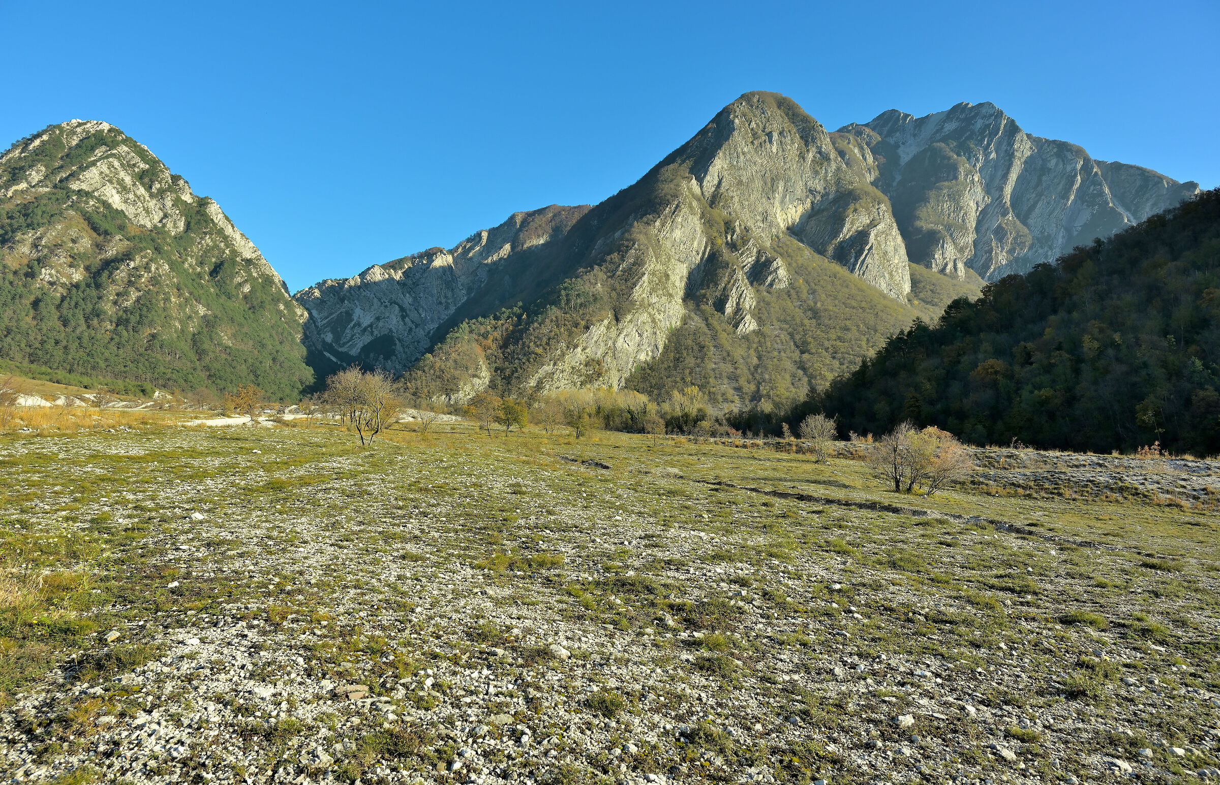 Monte Chiampon