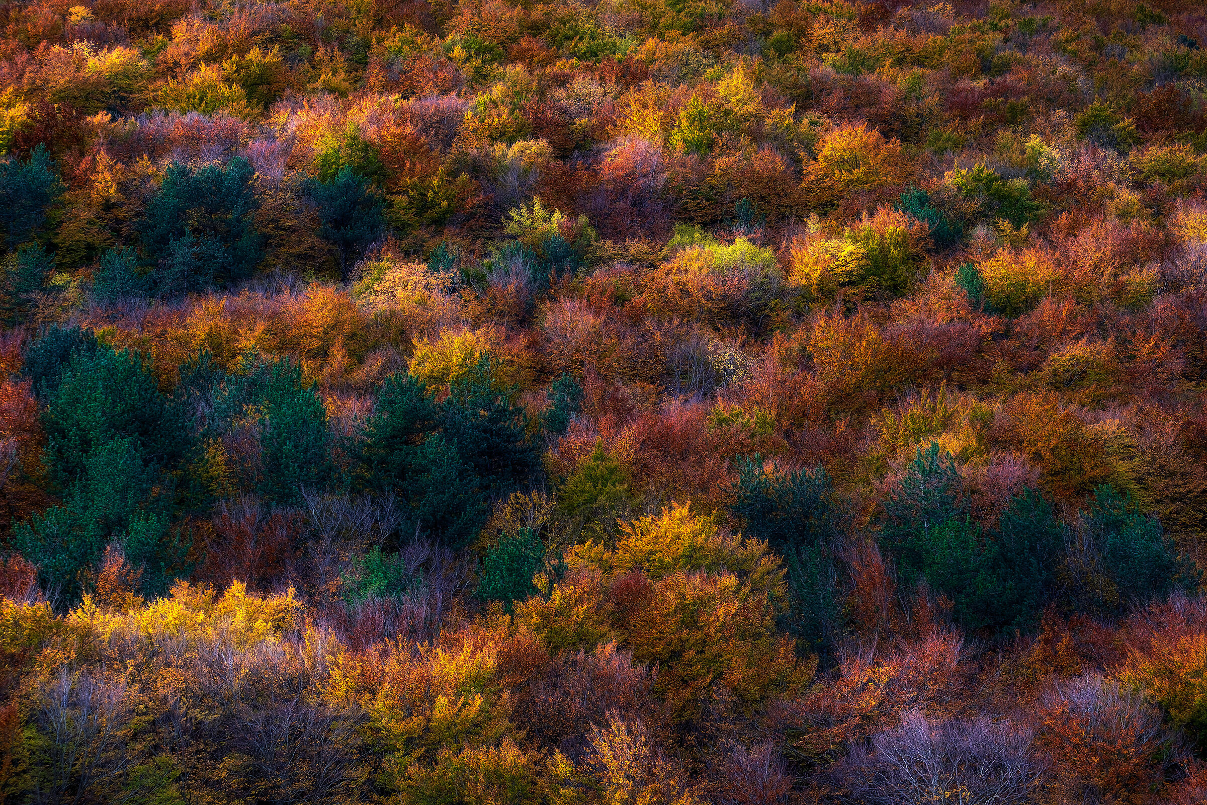 Untitled Photo
