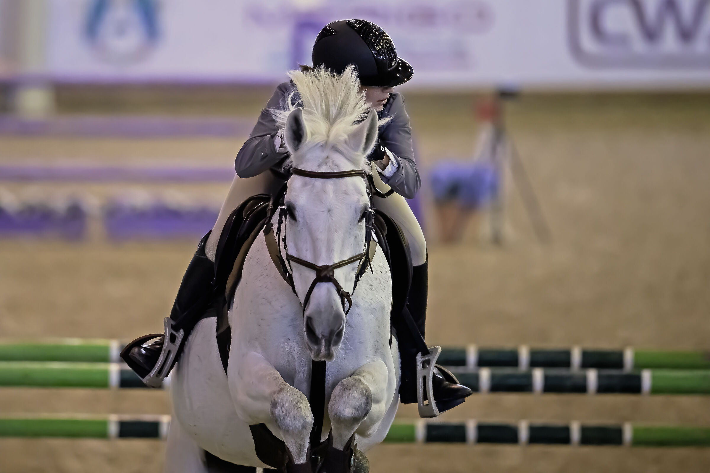 Jumping.. what a spectacle !