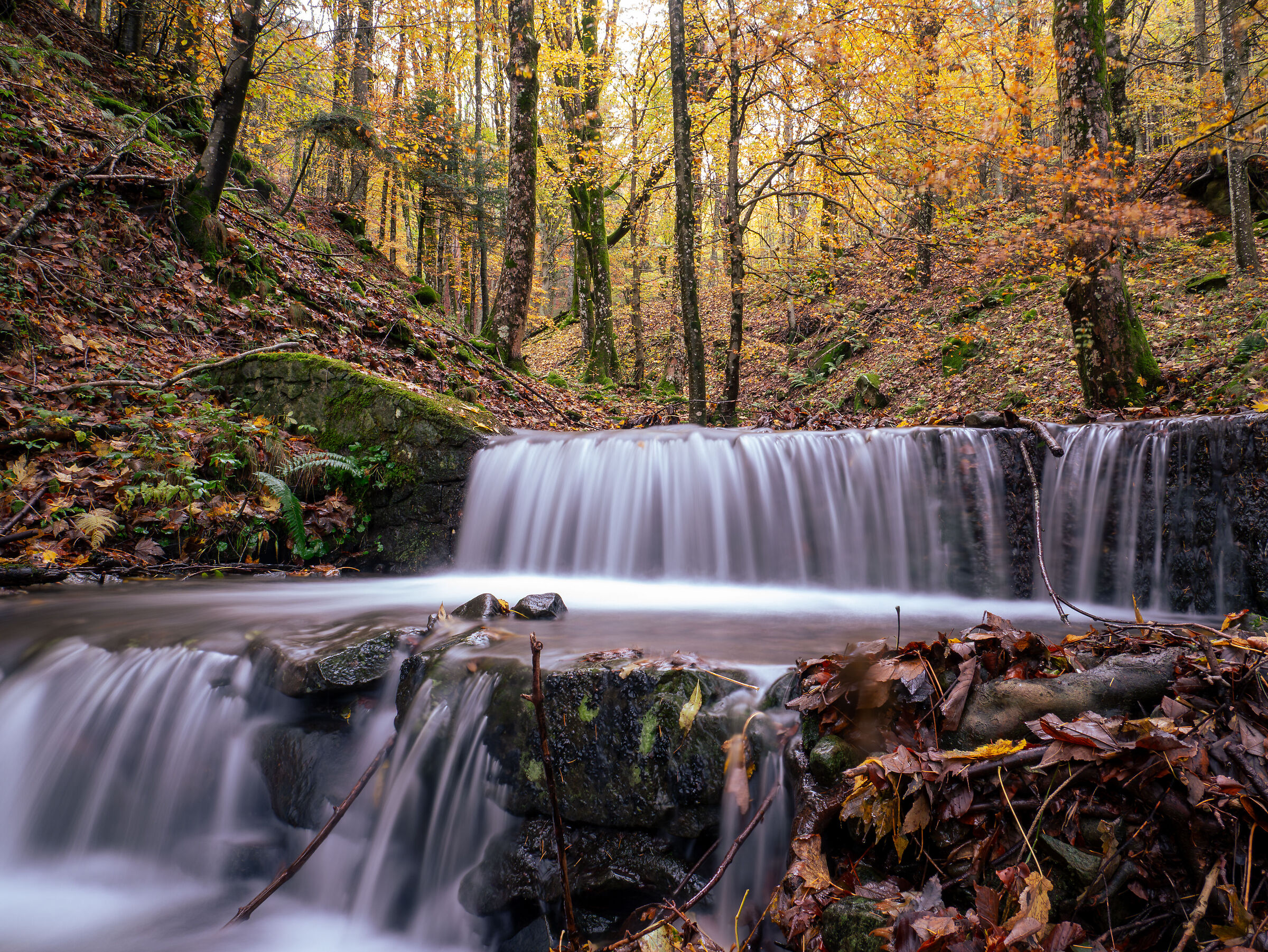The colors of autumn