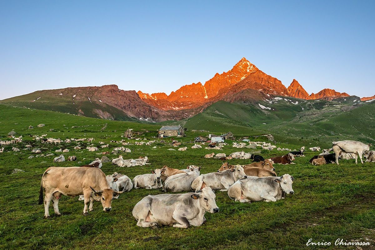 Il risveglio sotto il Monviso