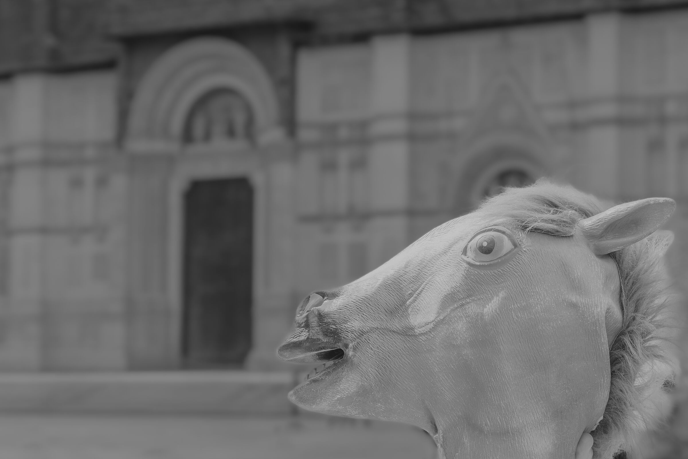 Visiting San Petronio (homage to Elliott Erwitt)