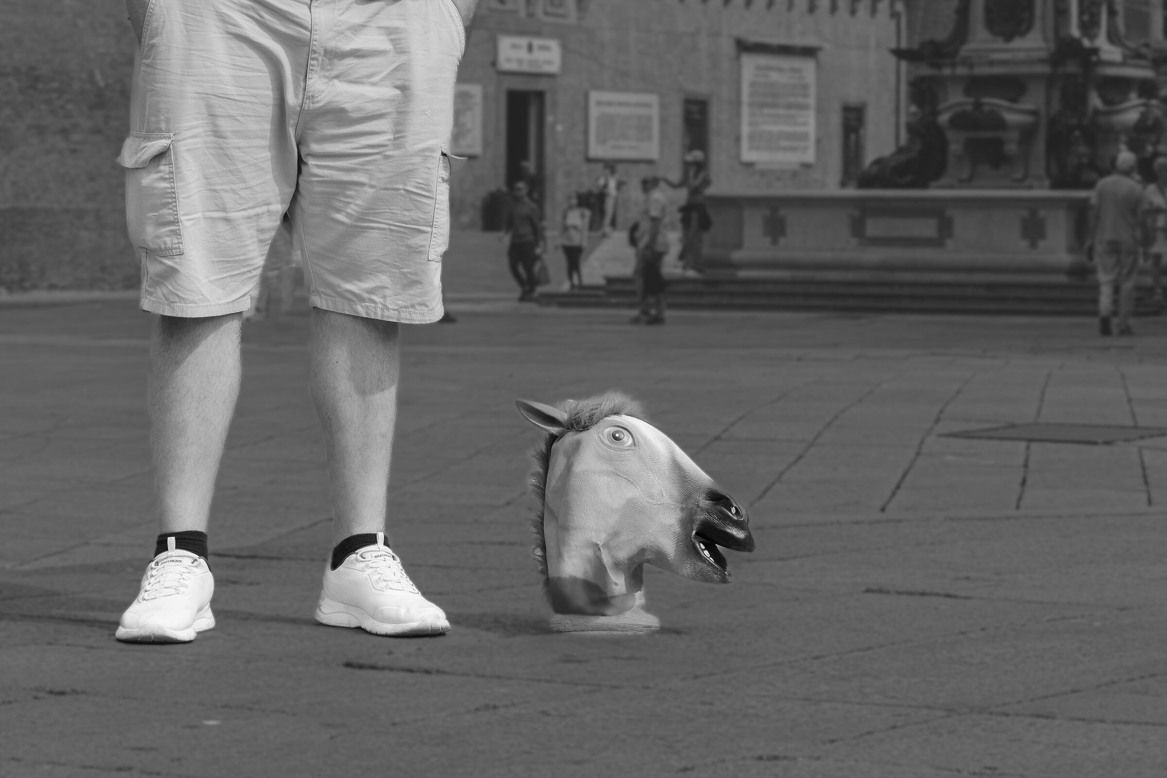 Walking (homage to Elliott Erwitt)