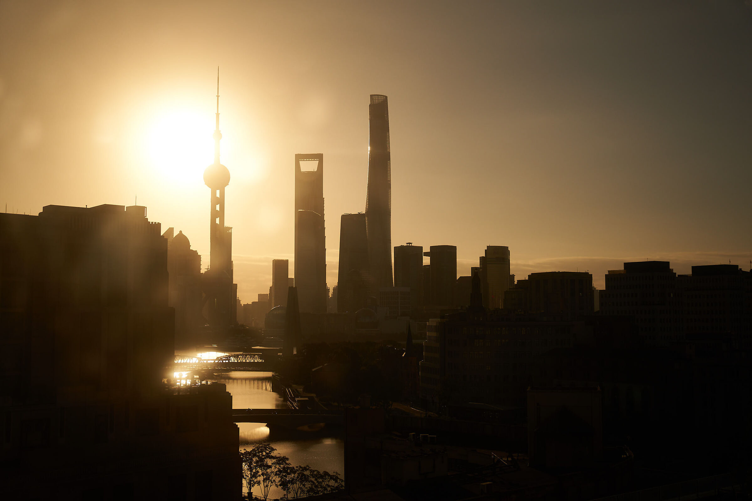 Shanghai Morning