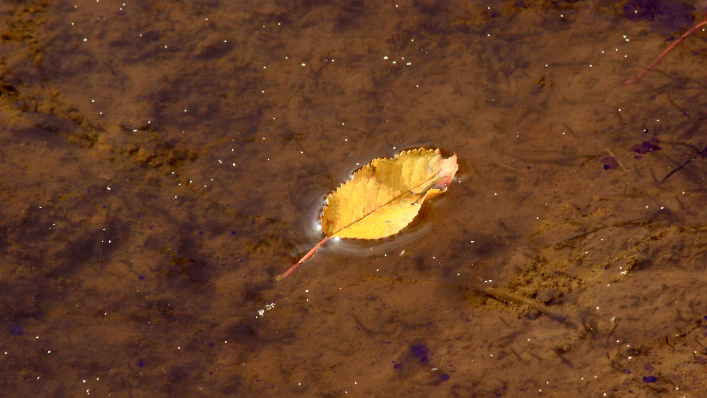autunno