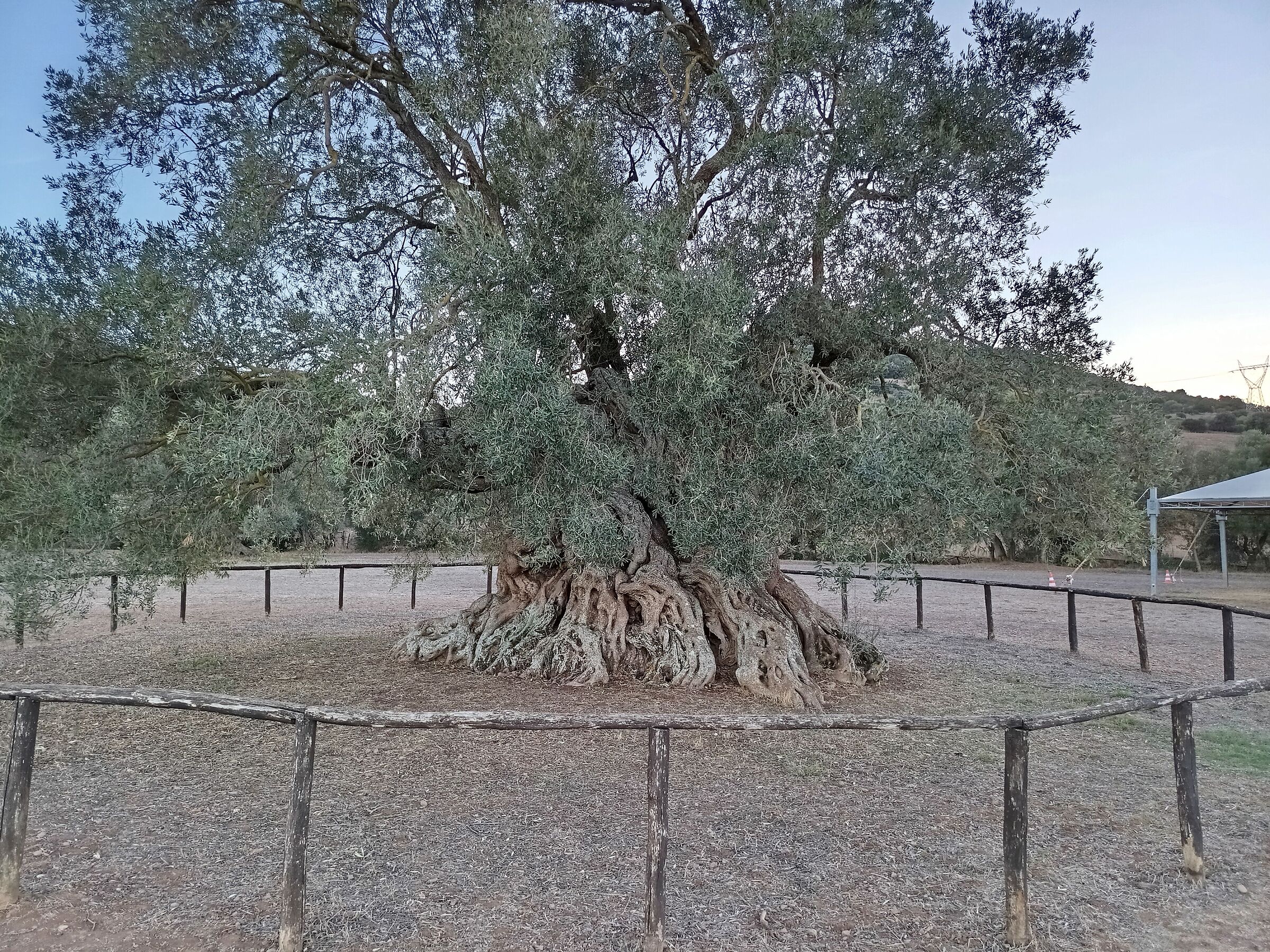 Sa reina 2 - averi mille anni e non sentirli...