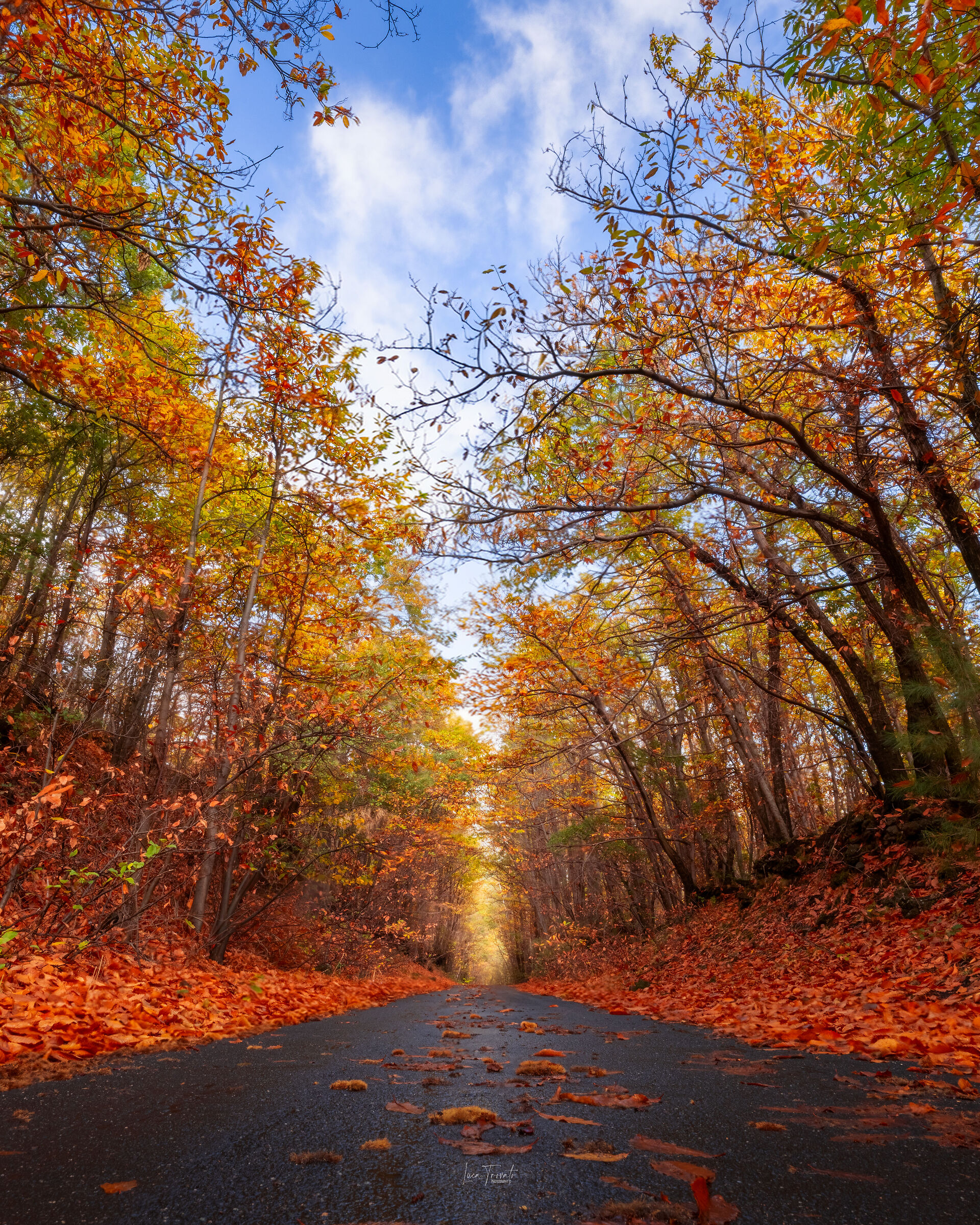 Etna. Foliage Autunno 2025