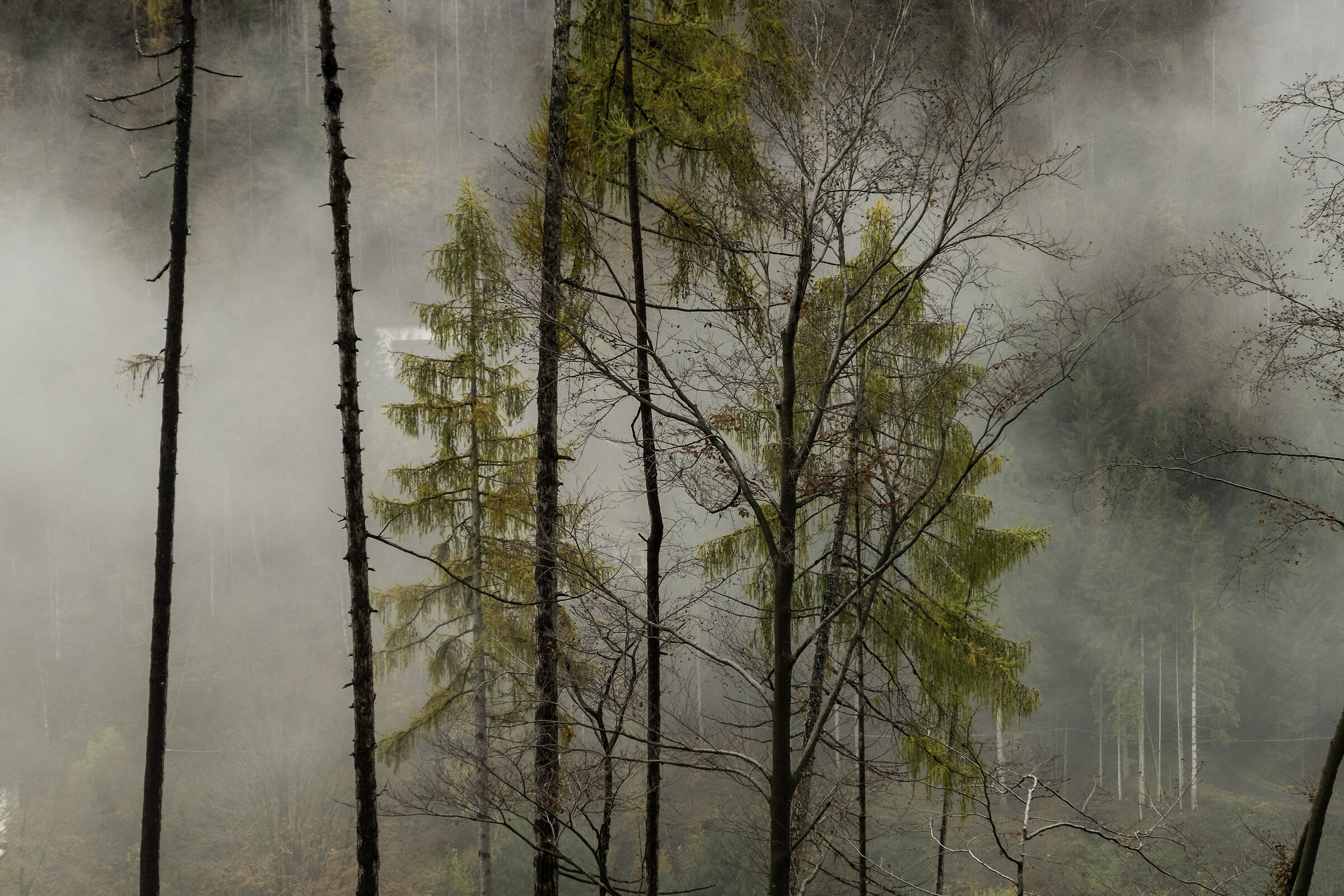 Under the rain