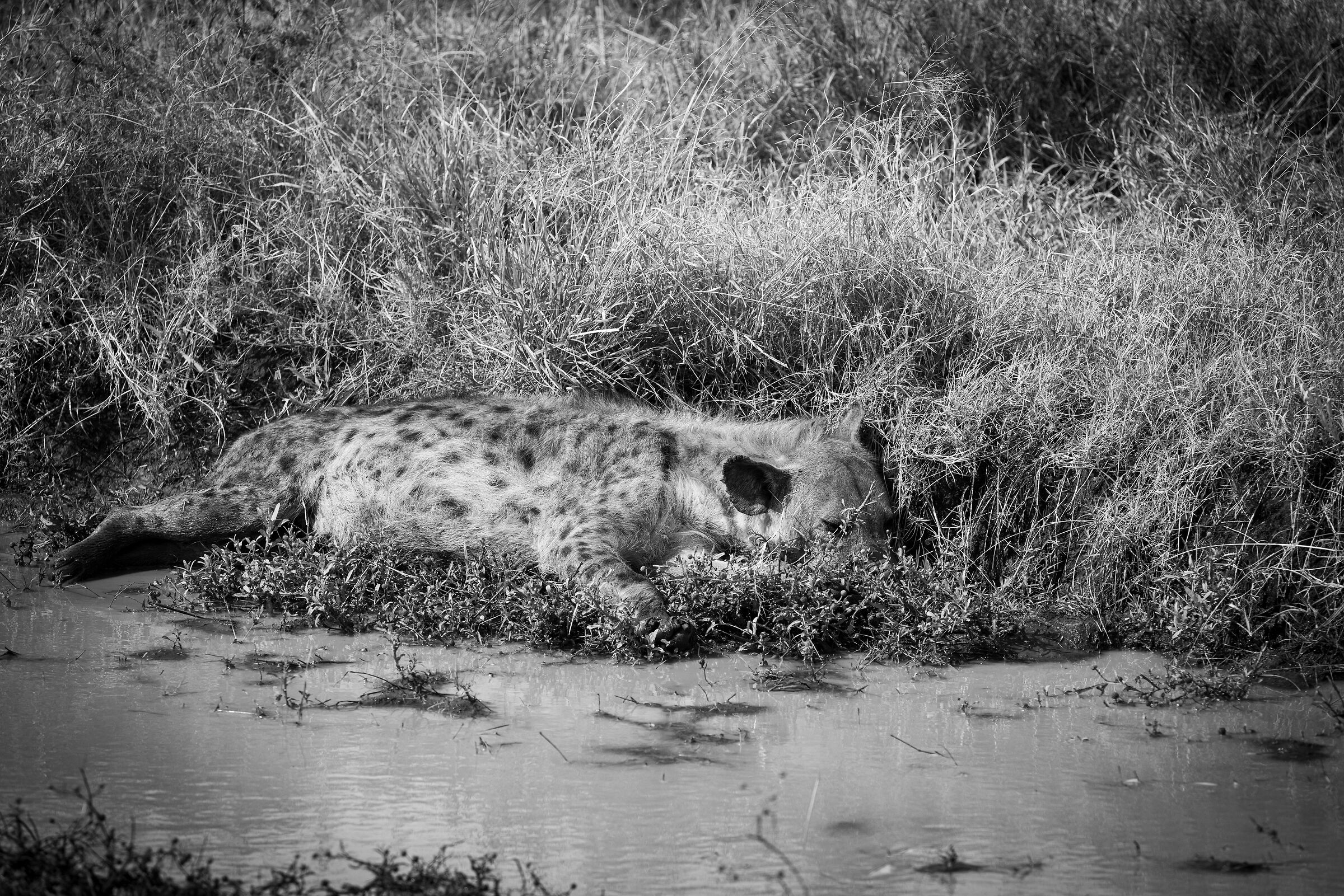Serengeti National Park