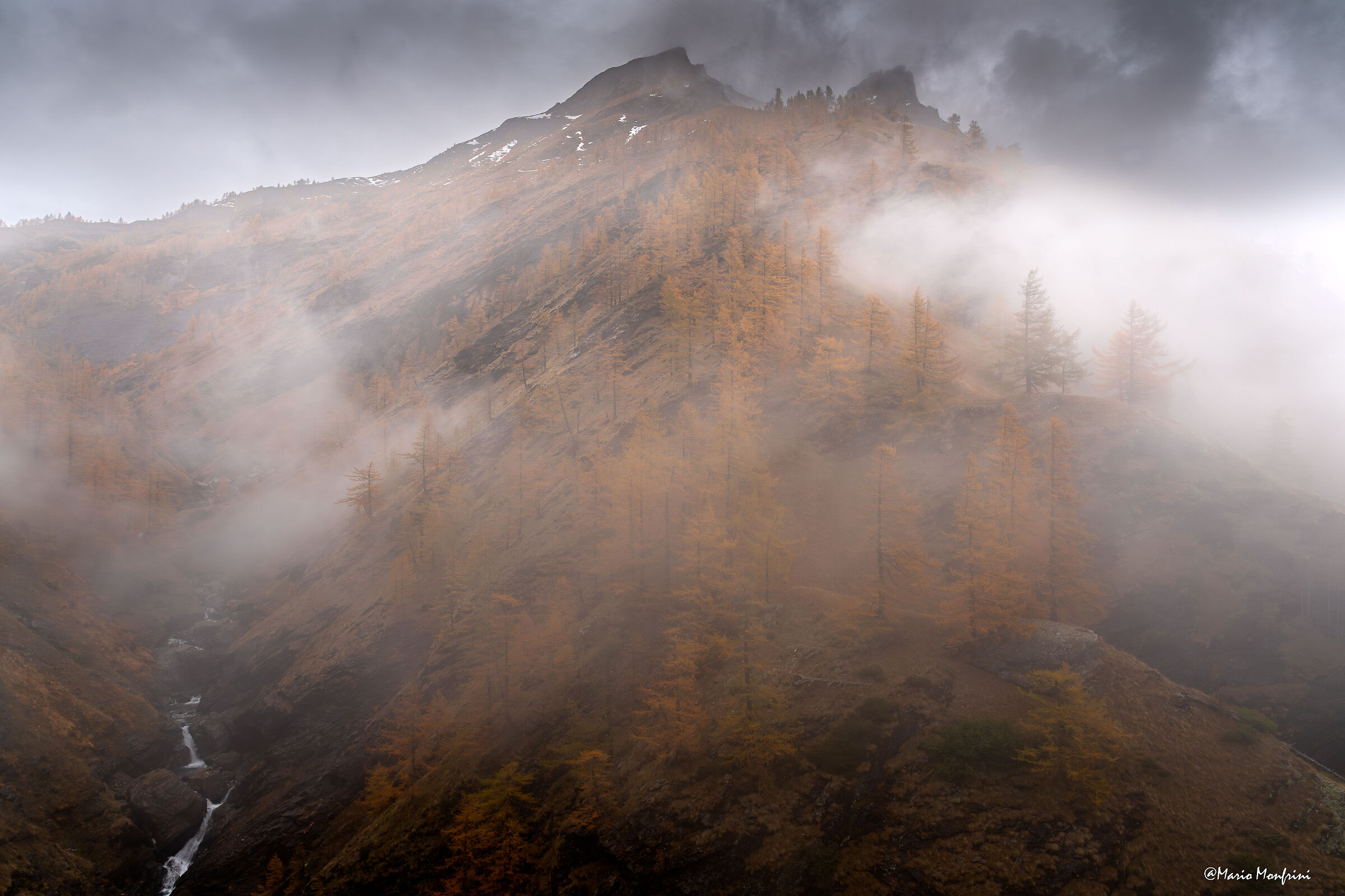 The poetry of autumn