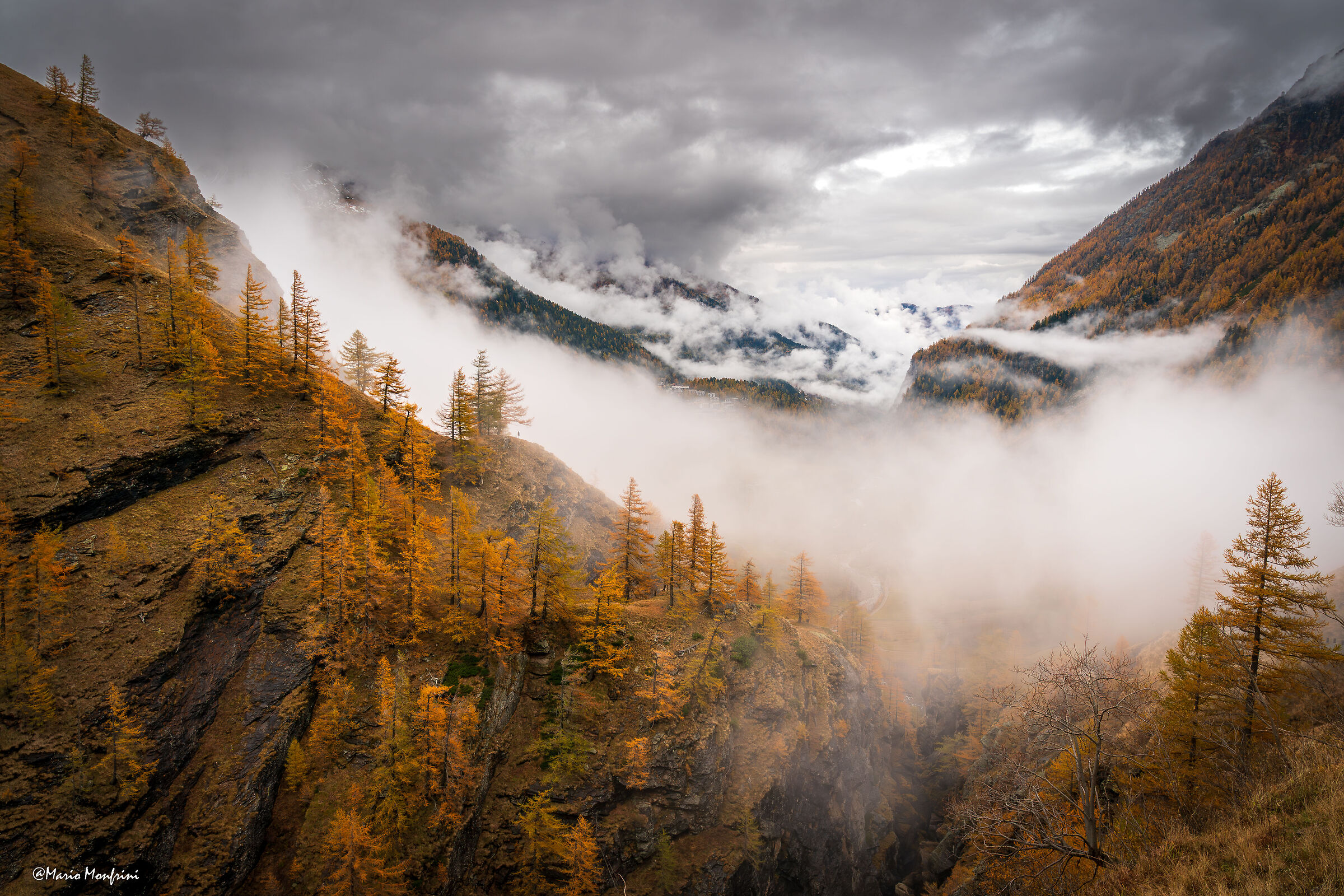 Autumn in San Domenico